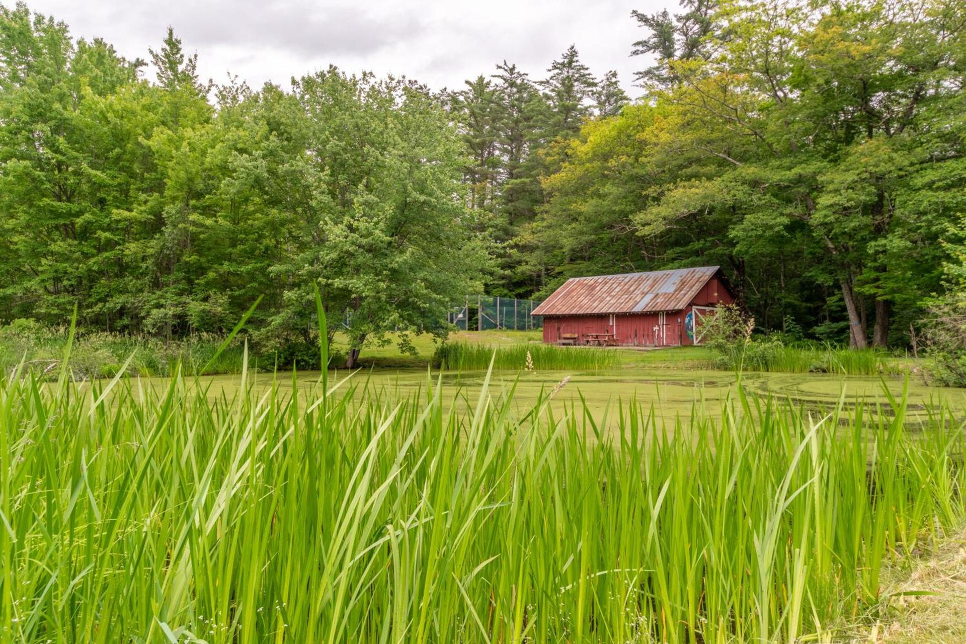 Cranmore Mountain Lodge Bed & Breakfast photo 49