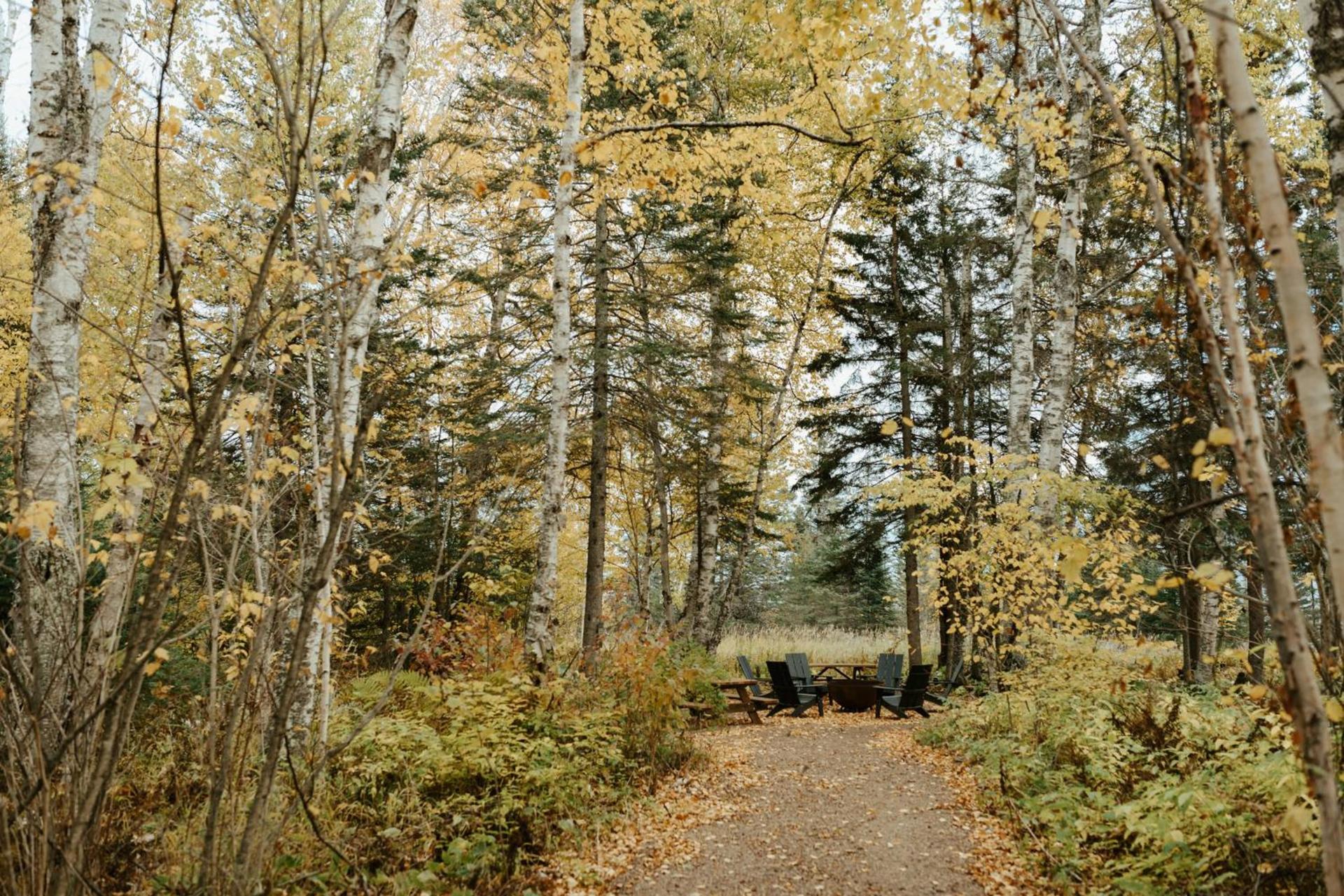 Tofte Trails photo 19