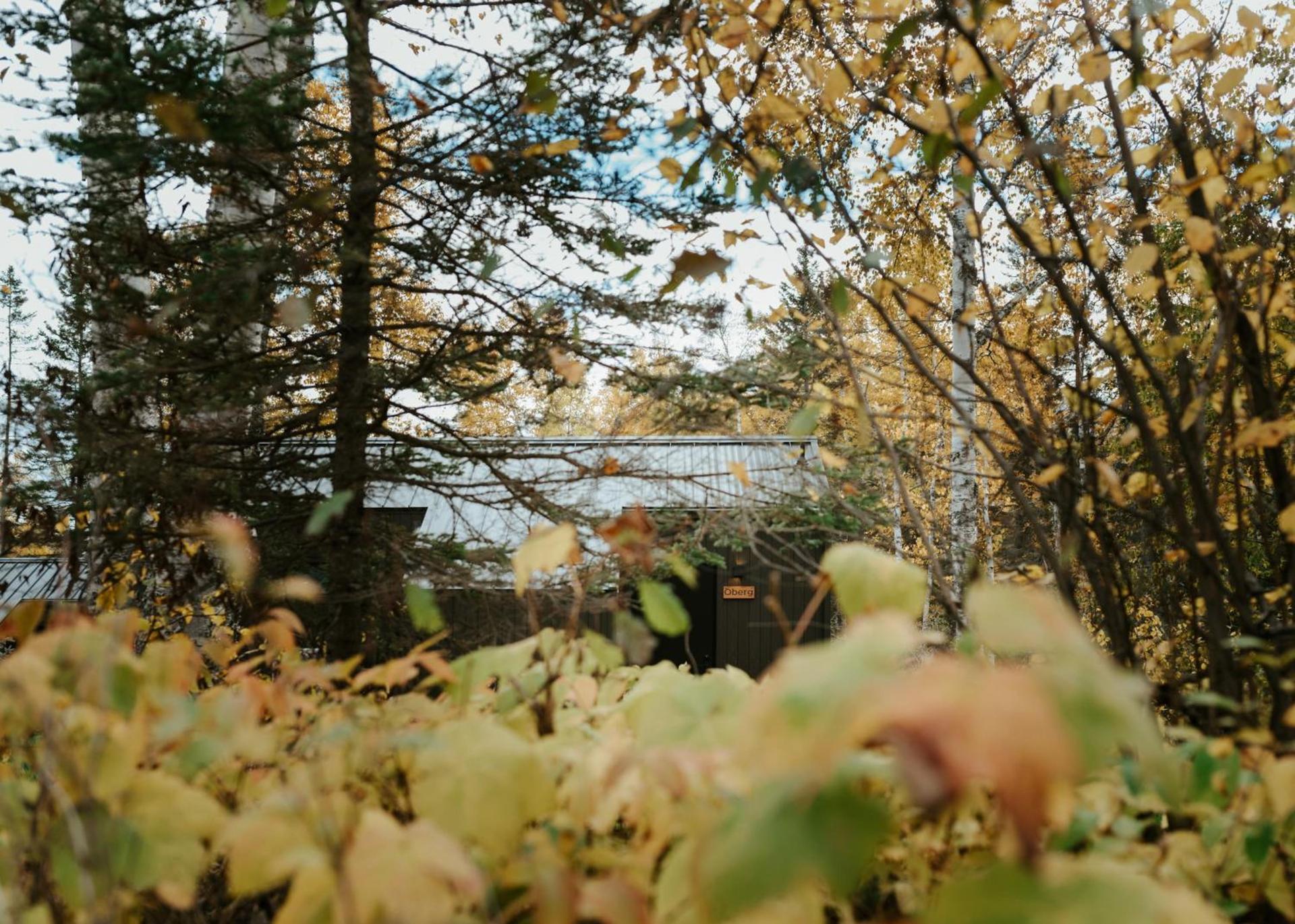 Tofte Trails photo 24