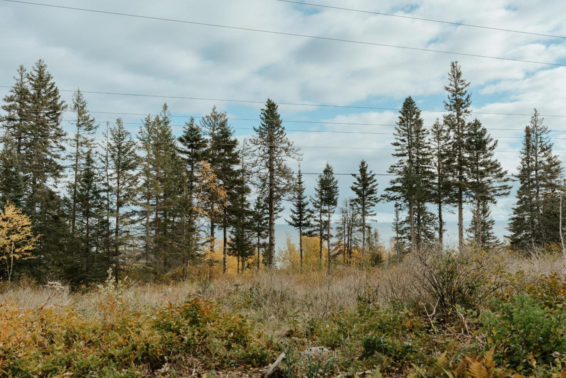 Tofte Trails photo 93