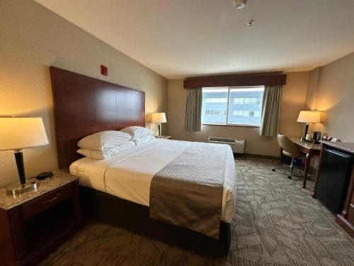 Medallion Inn and Suites photo 29