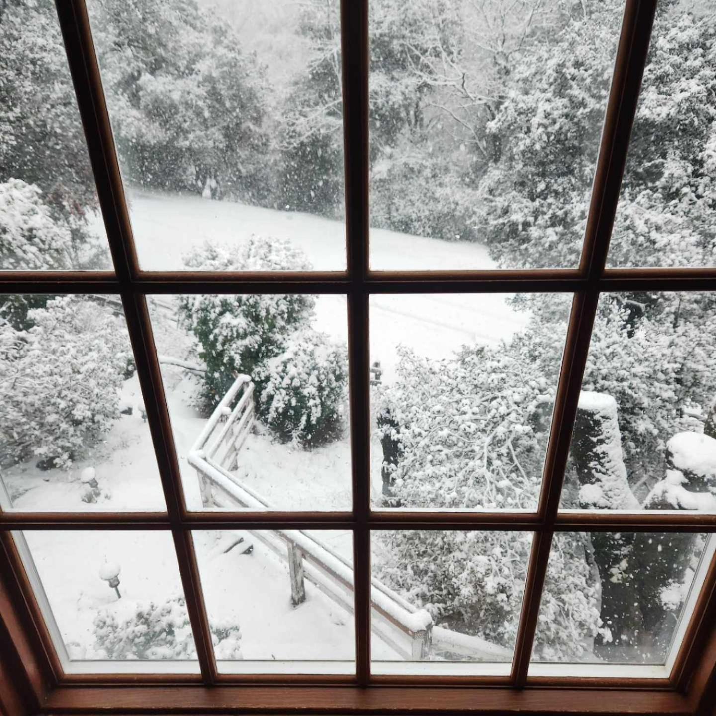 Oak Hill Inn photo 3