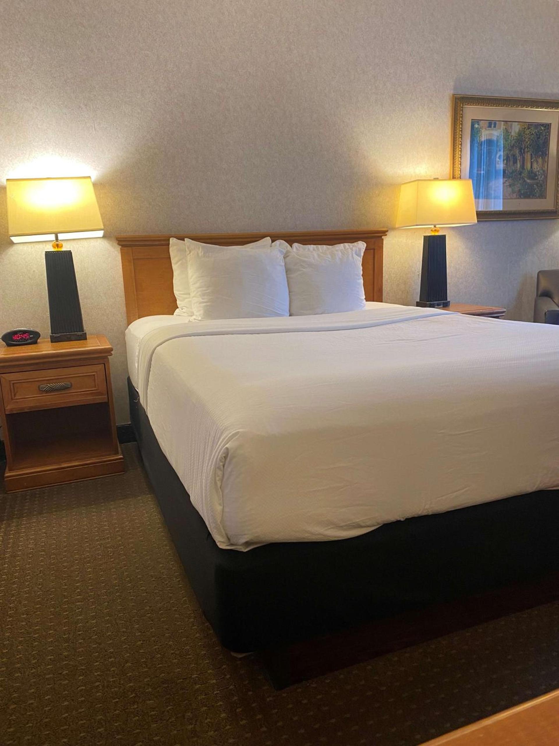 Best Western Plus Kelly Inn photo 9