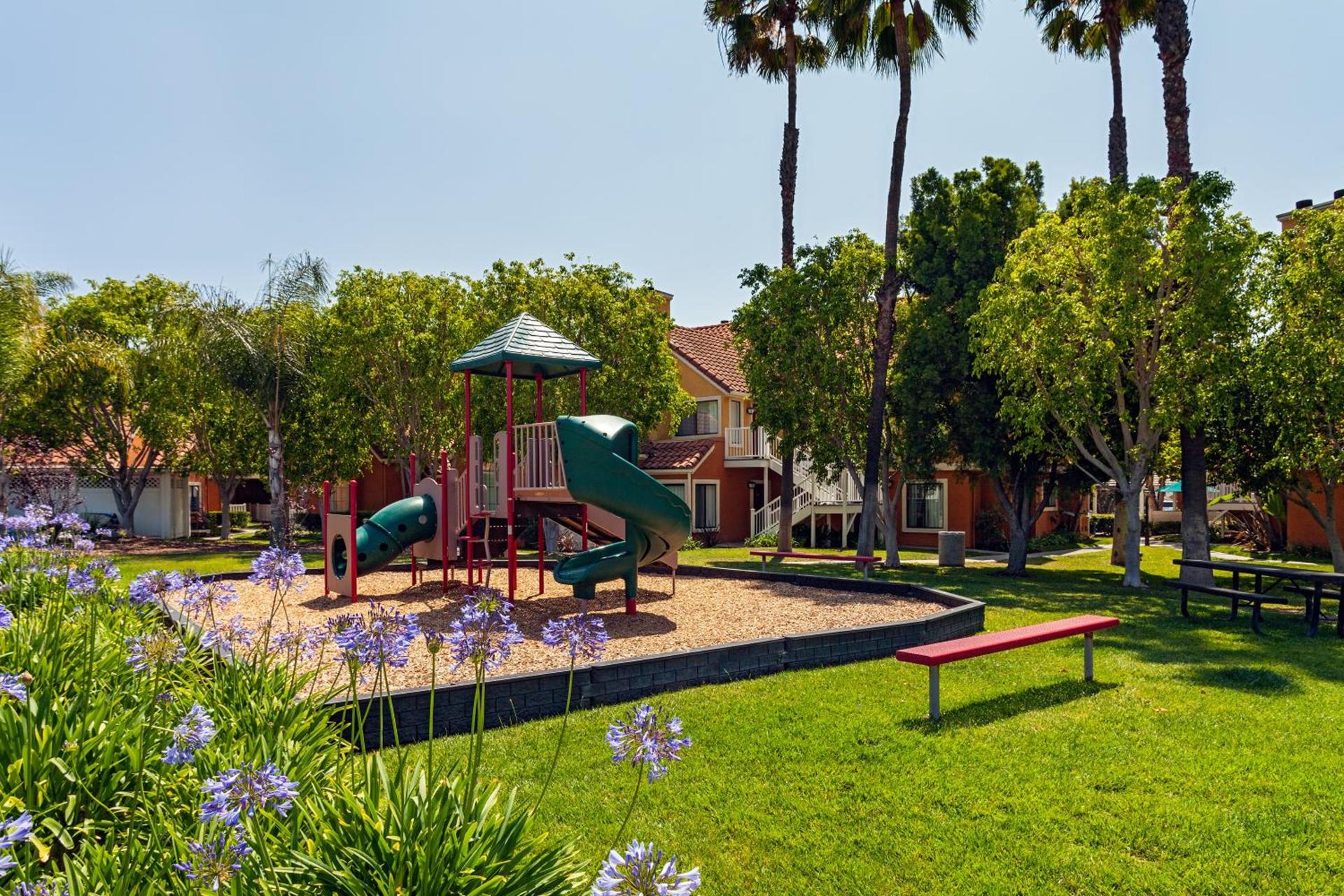 Clementine Hotel & Suites Anaheim photo 12