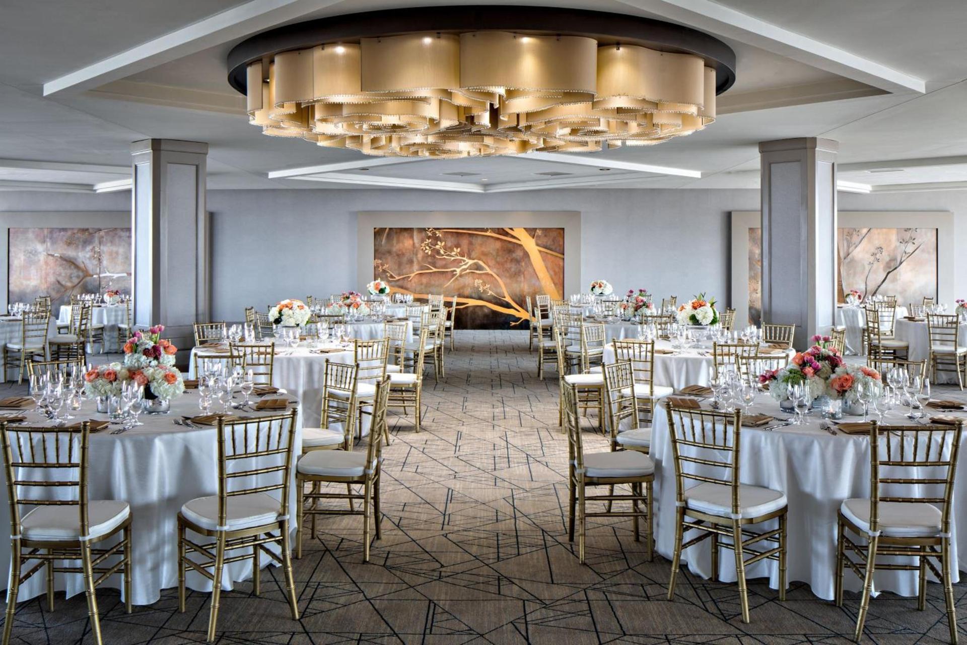 Sheraton Dallas Hotel photo 81