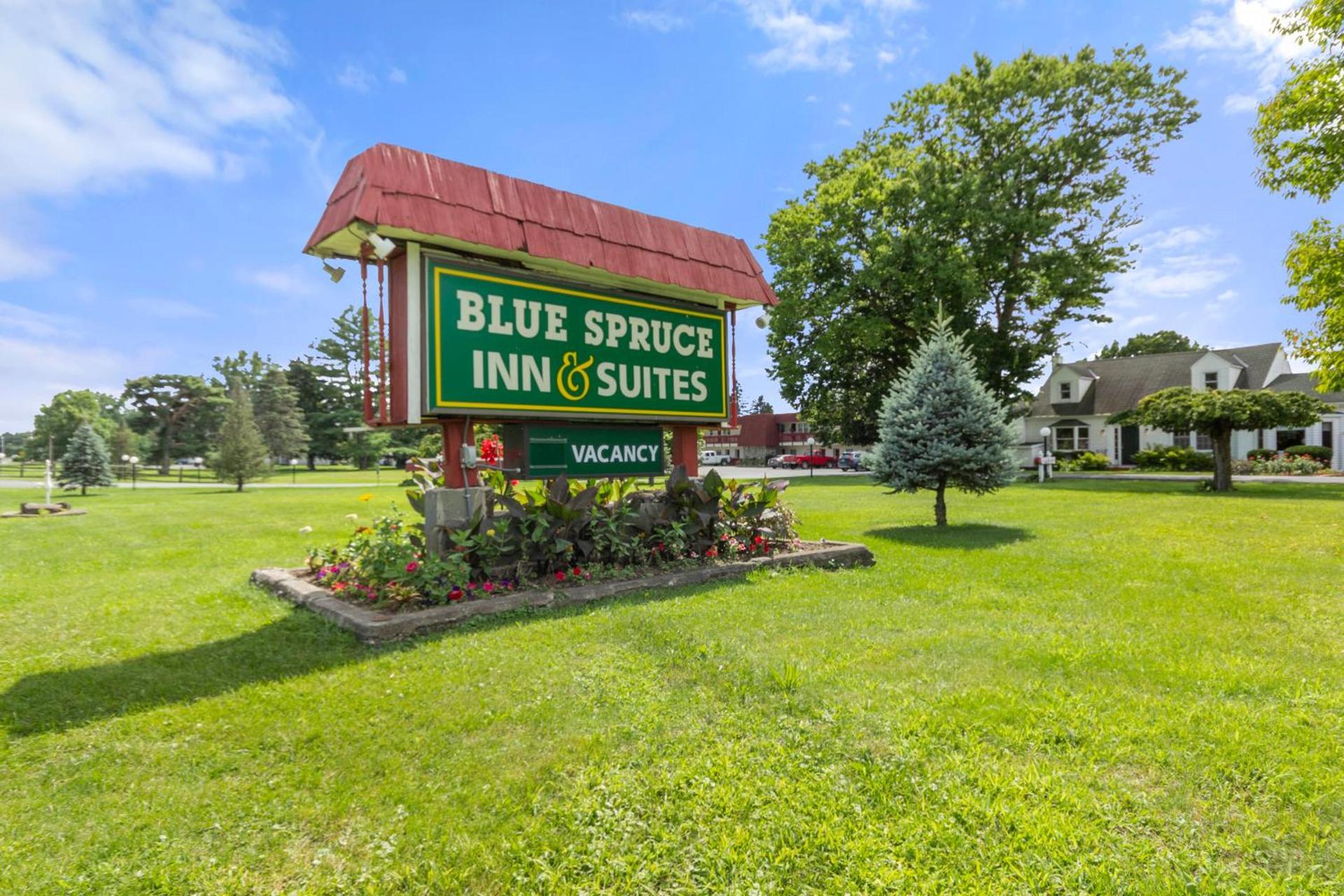 Blue Spruce Inn & Suites photo 34