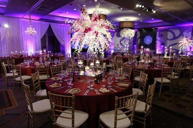 Sheraton Lisle Naperville Hotel photo 3