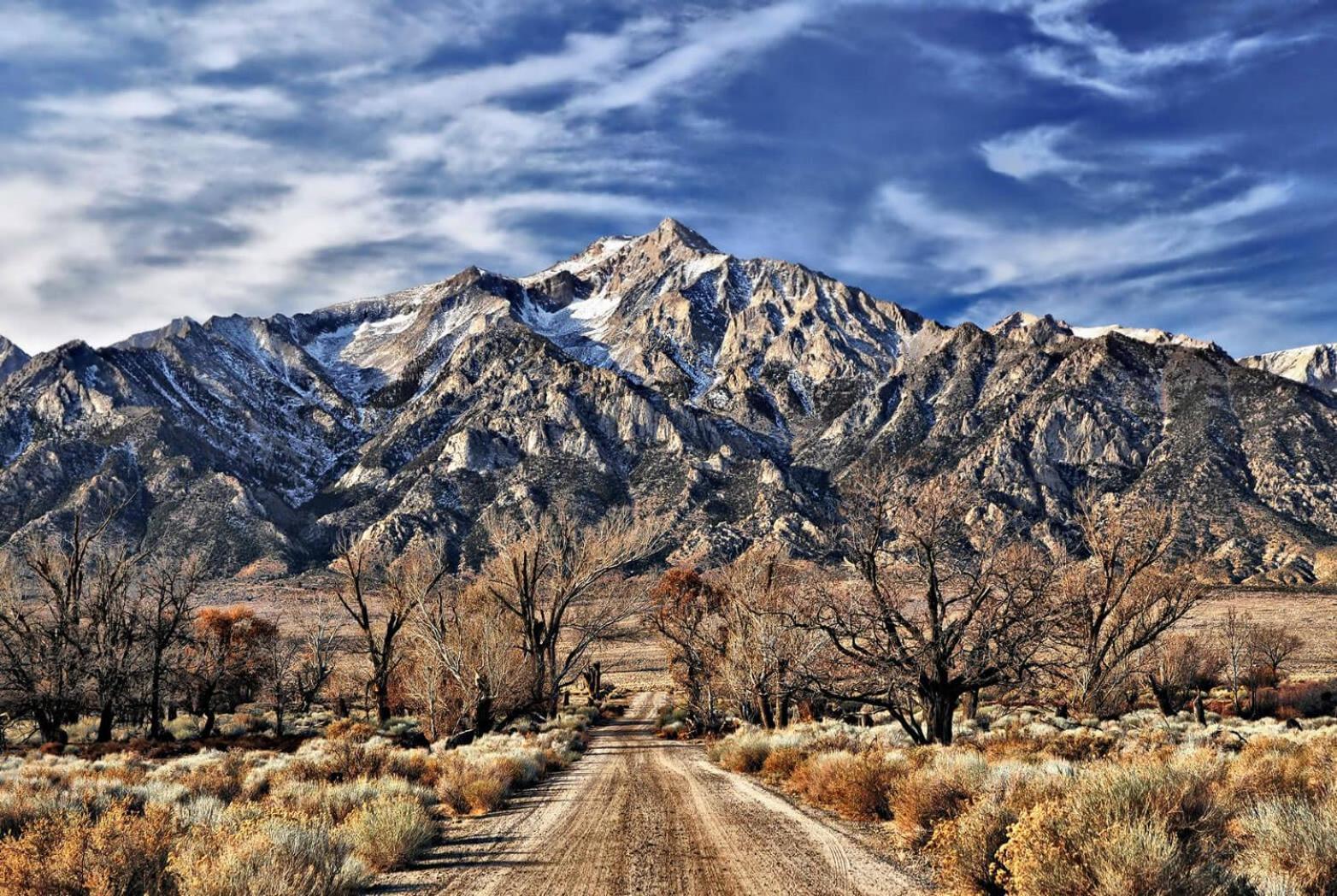 Eastern Sierra Motor Lodge photo 17