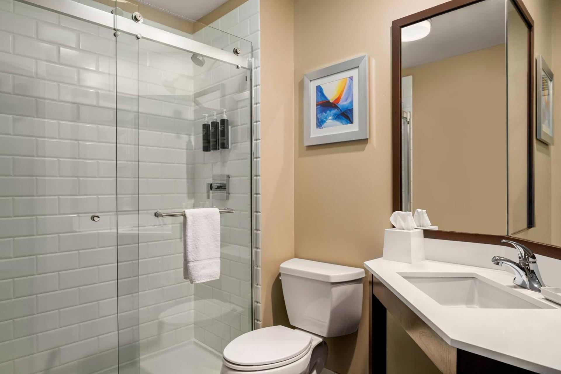 Four Points by Sheraton Chicago Westchester/Oak Brook photo 3