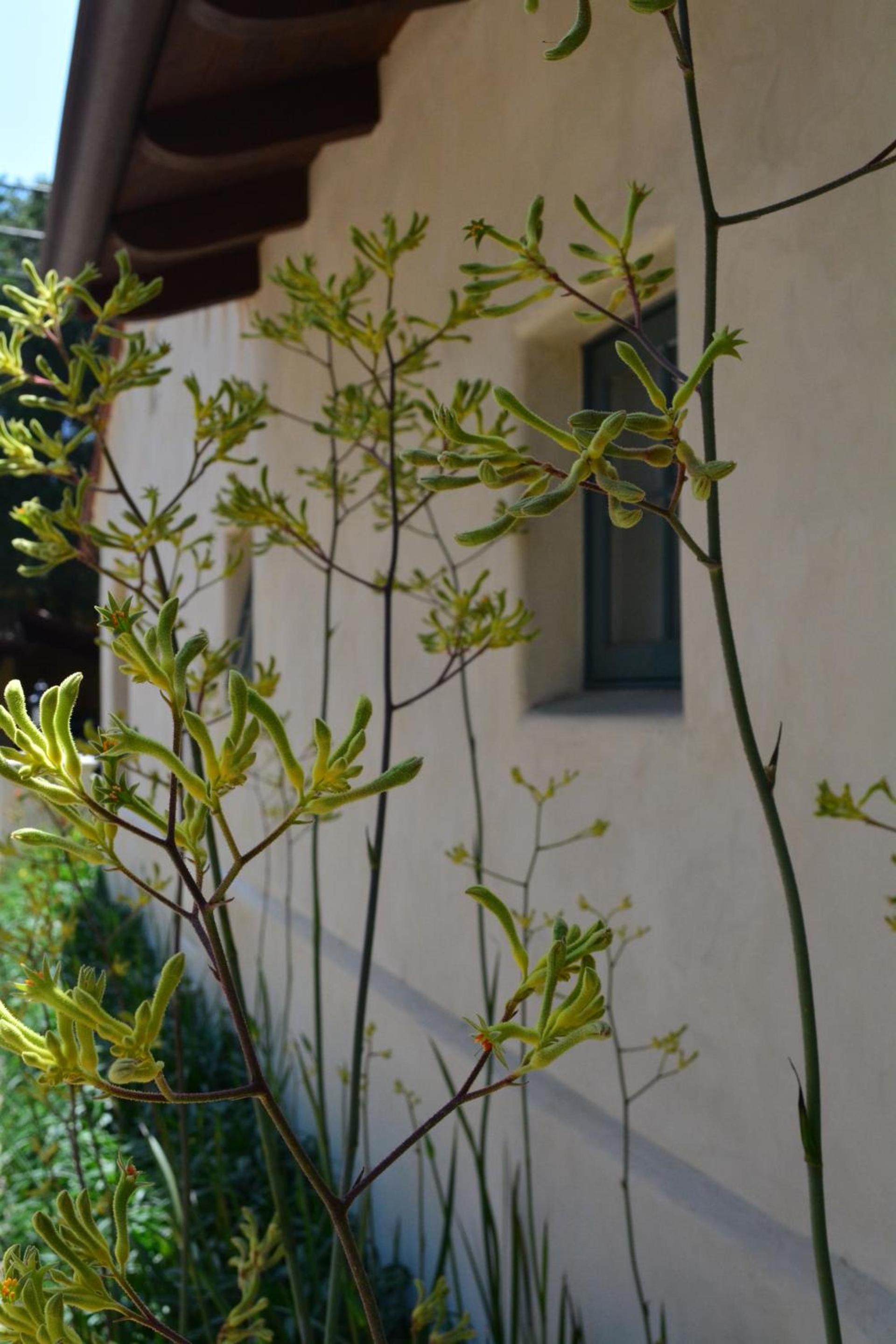 Su Nido Inn photo 59