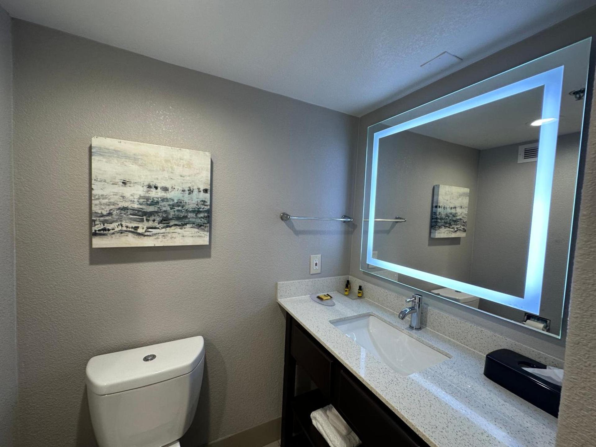 Comfort Inn Dallas North Love Field Airport photo 43