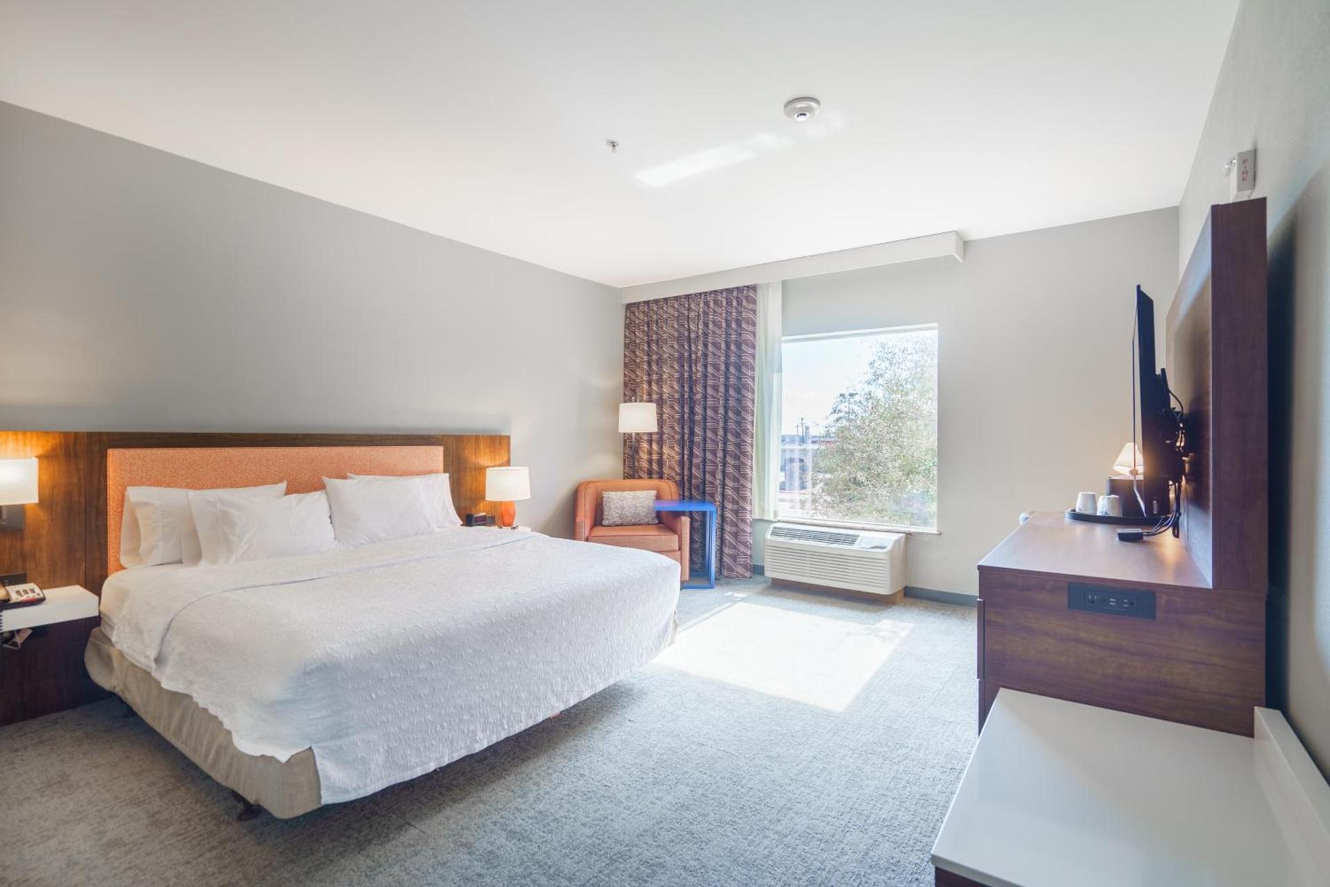 Hampton Inn & Suites Abilene I-20 photo 54