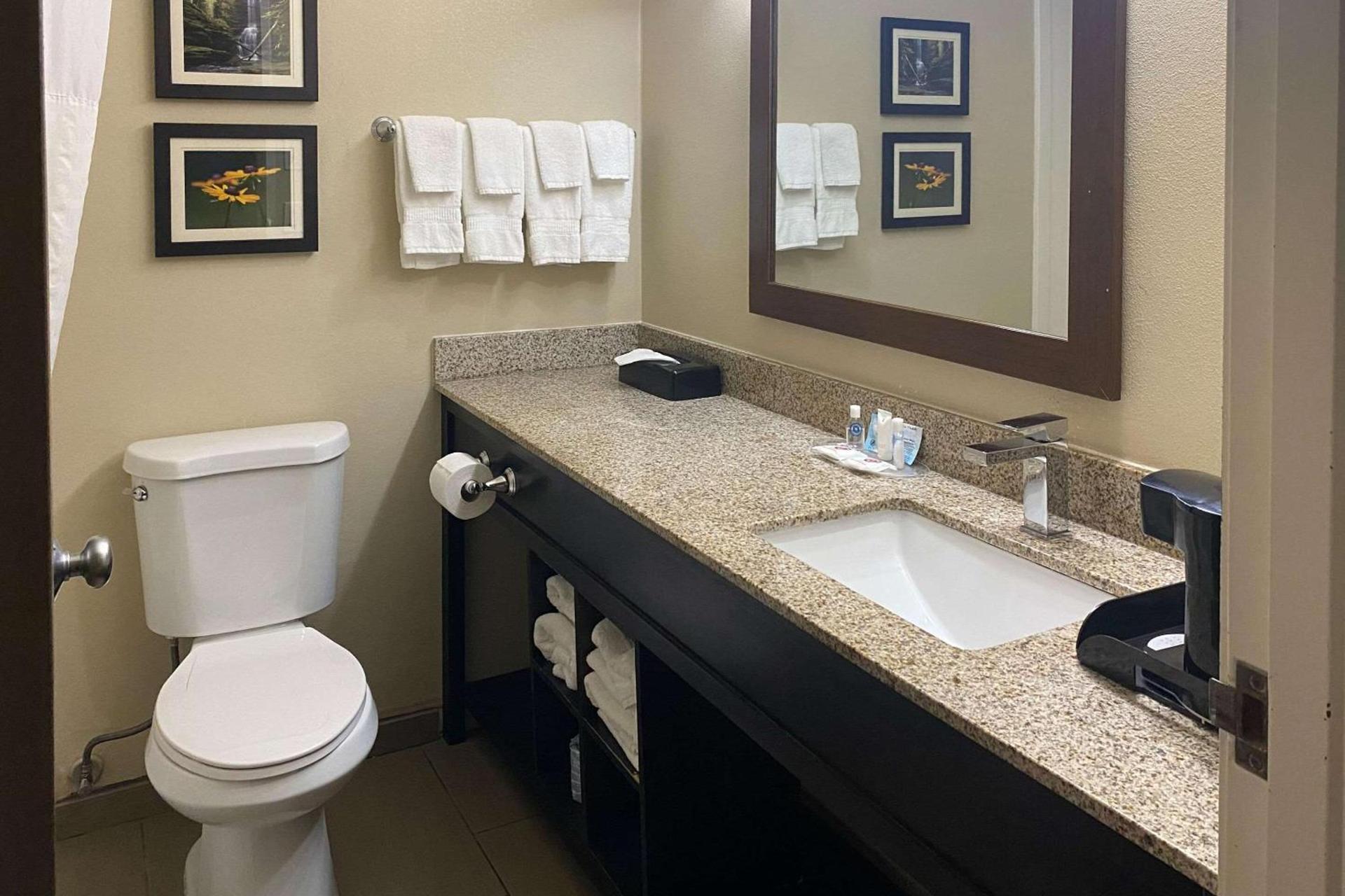 Comfort Suites Peoria I-74 photo 14