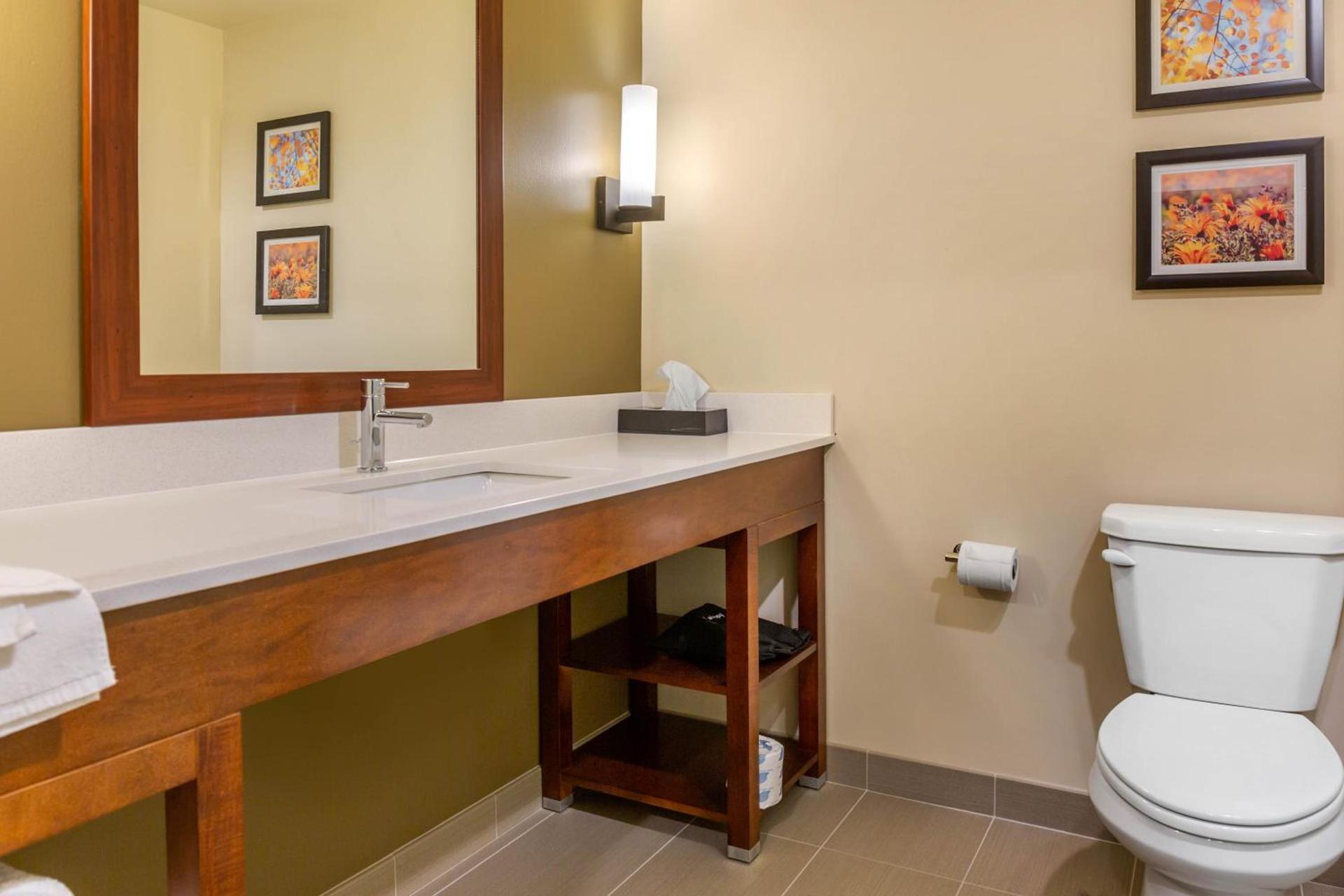 Comfort Inn & Suites Gap Amish Country photo 33