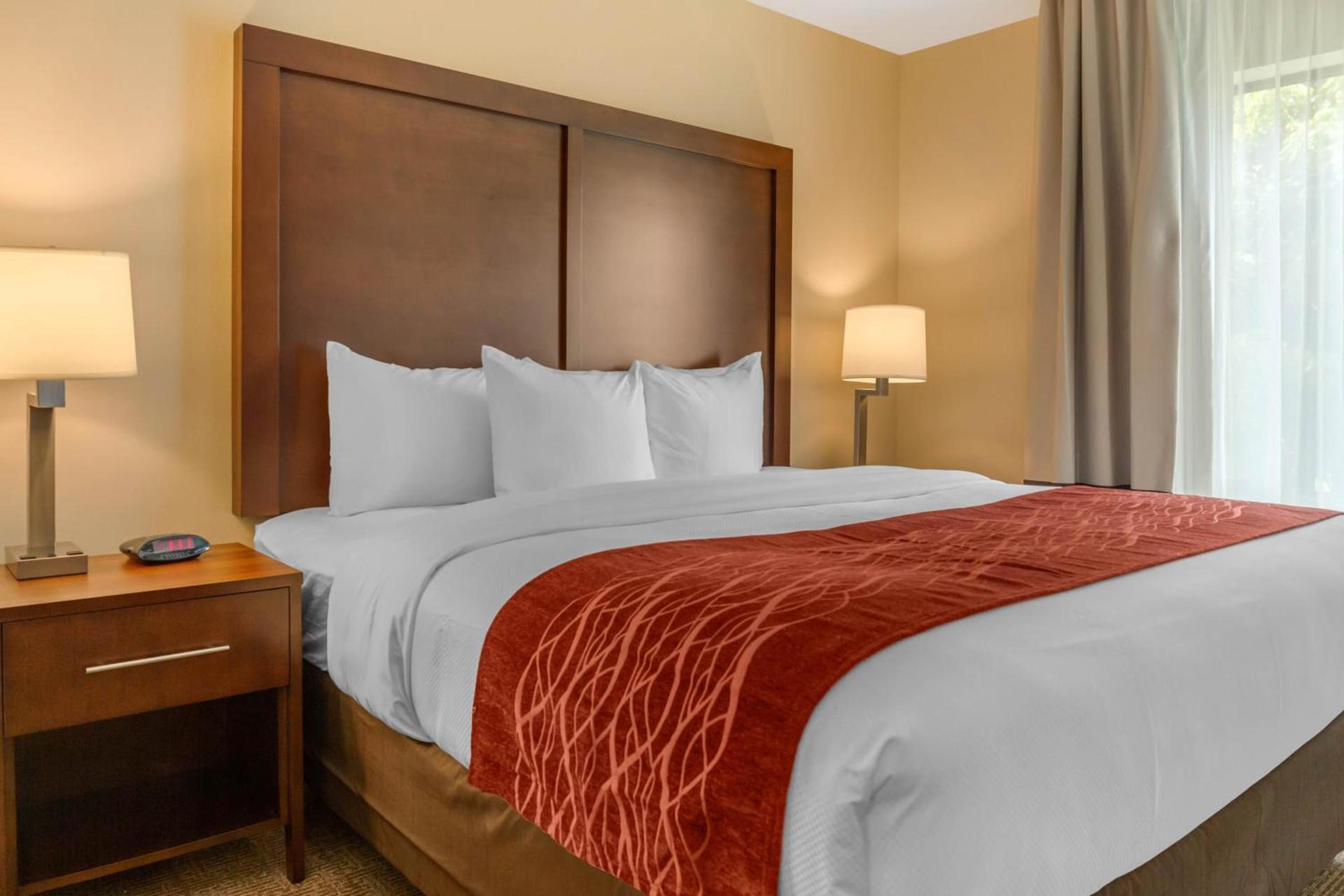 Comfort Inn & Suites Gap Amish Country photo 46