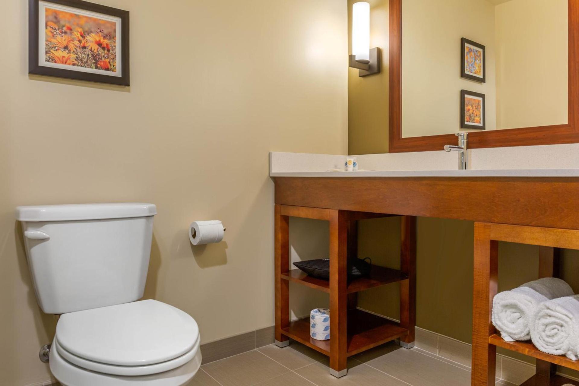 Comfort Inn & Suites Gap Amish Country photo 42