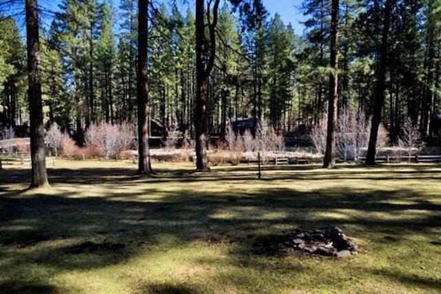 Cold Springs Resort photo 72