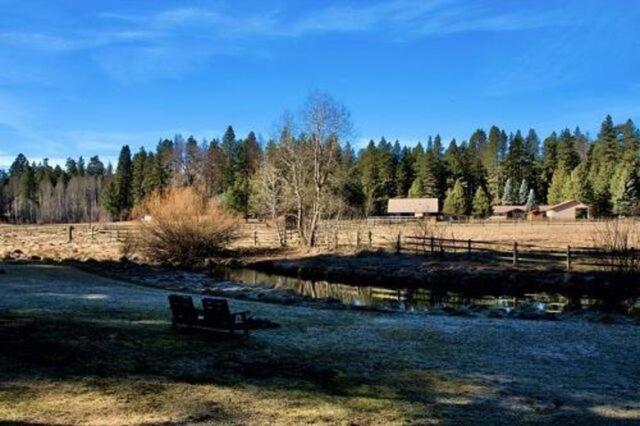 Cold Springs Resort photo 59