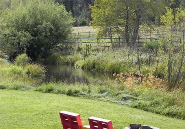 Cold Springs Resort photo 52