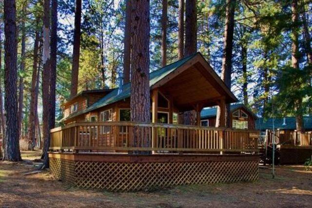 Cold Springs Resort photo 6