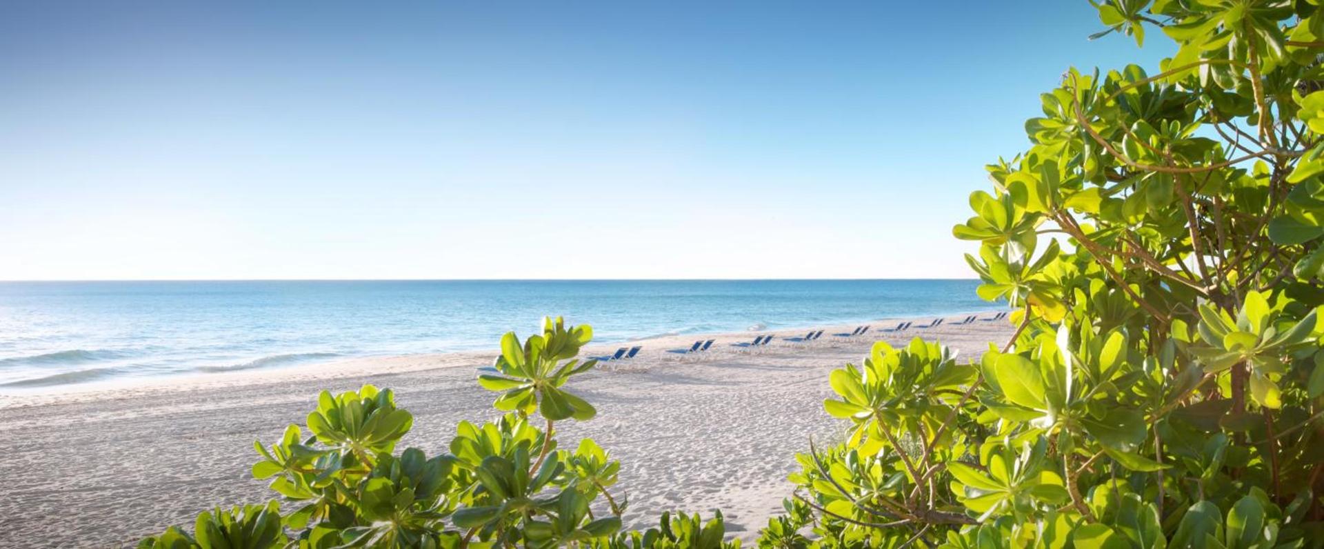 Pelican Grand Beach Resort, a Noble House Resort photo 6