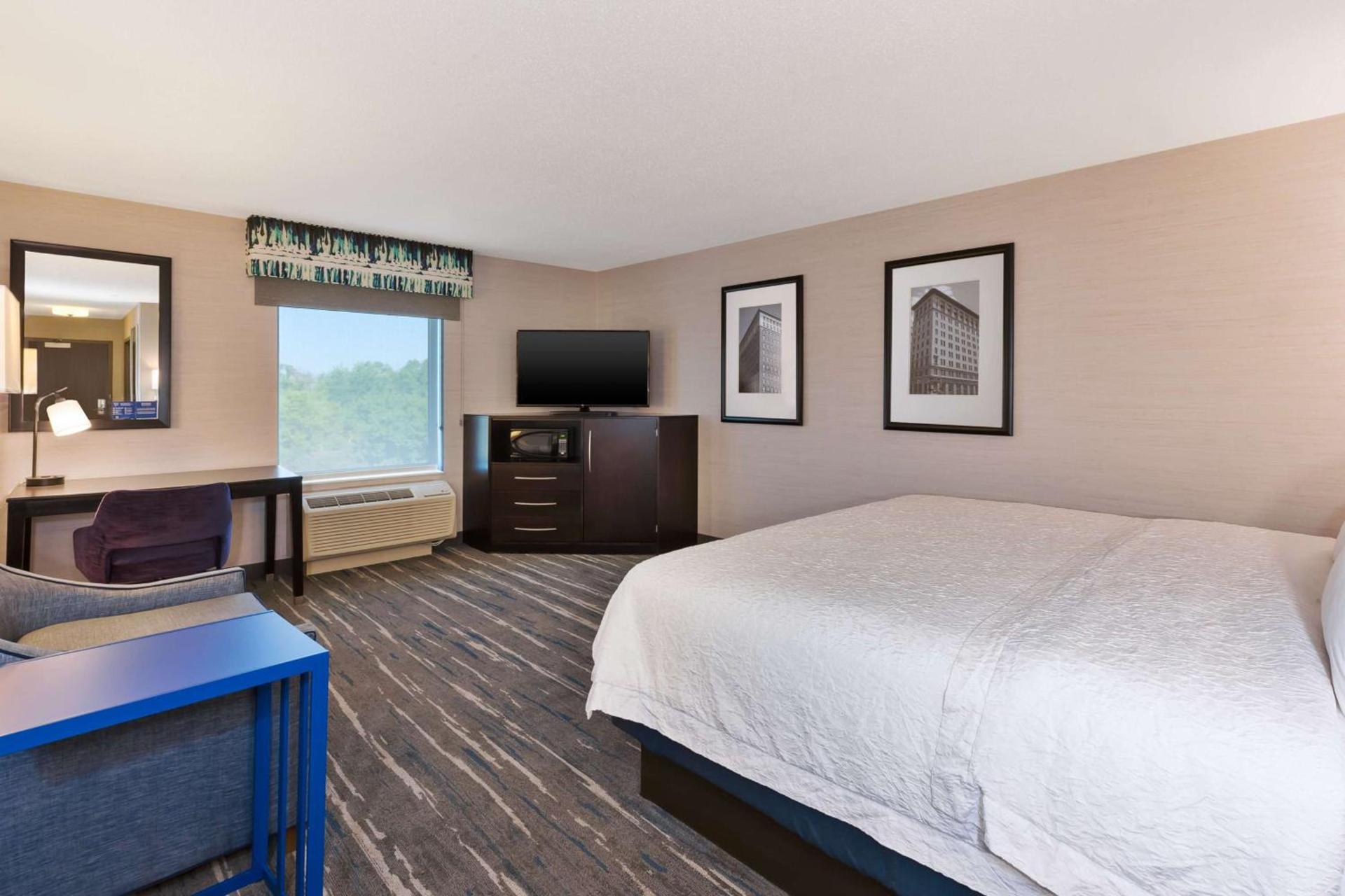 Hampton Inn and Suites Flint/Grand Blanc photo 22