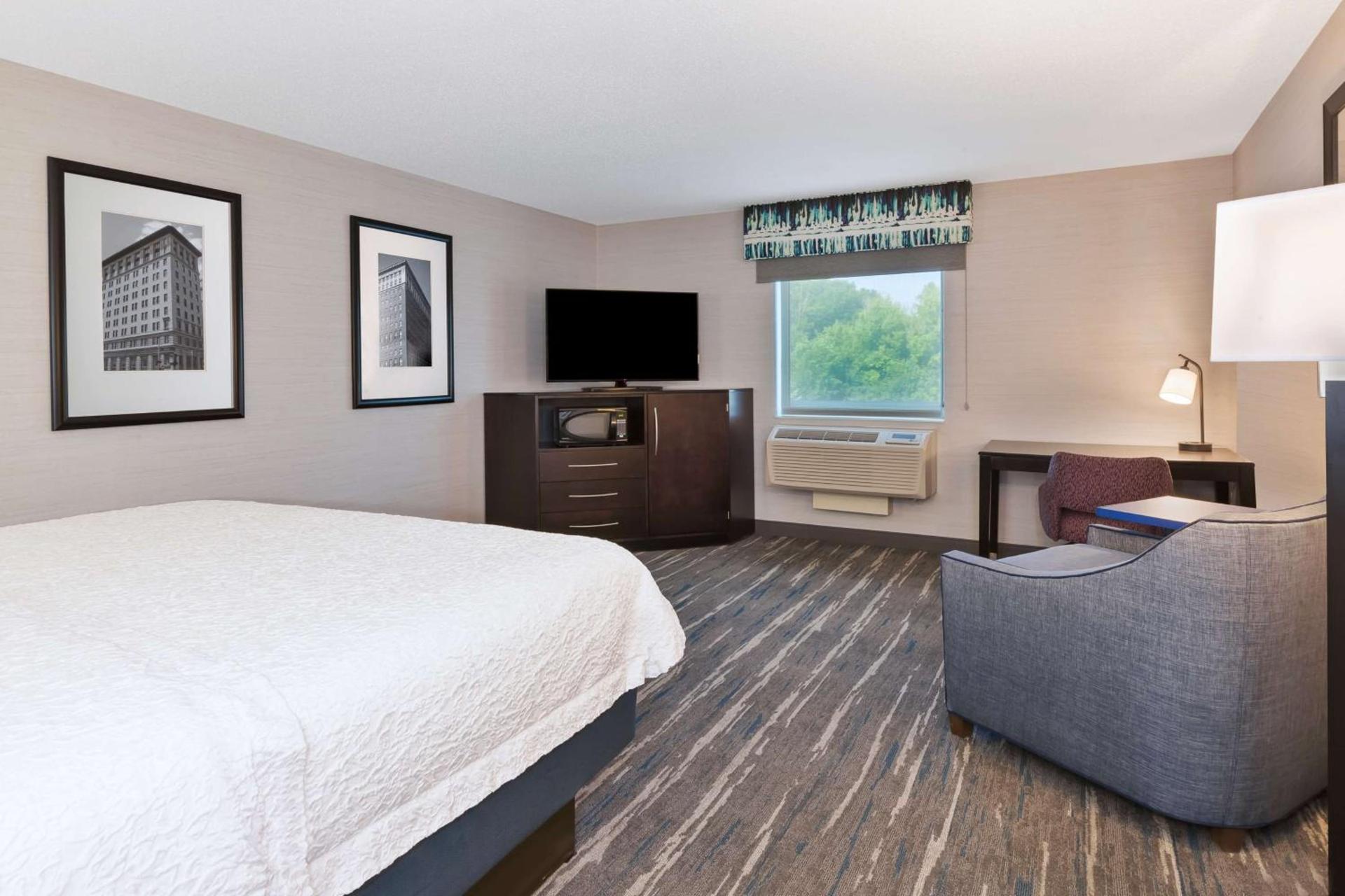 Hampton Inn and Suites Flint/Grand Blanc photo 29