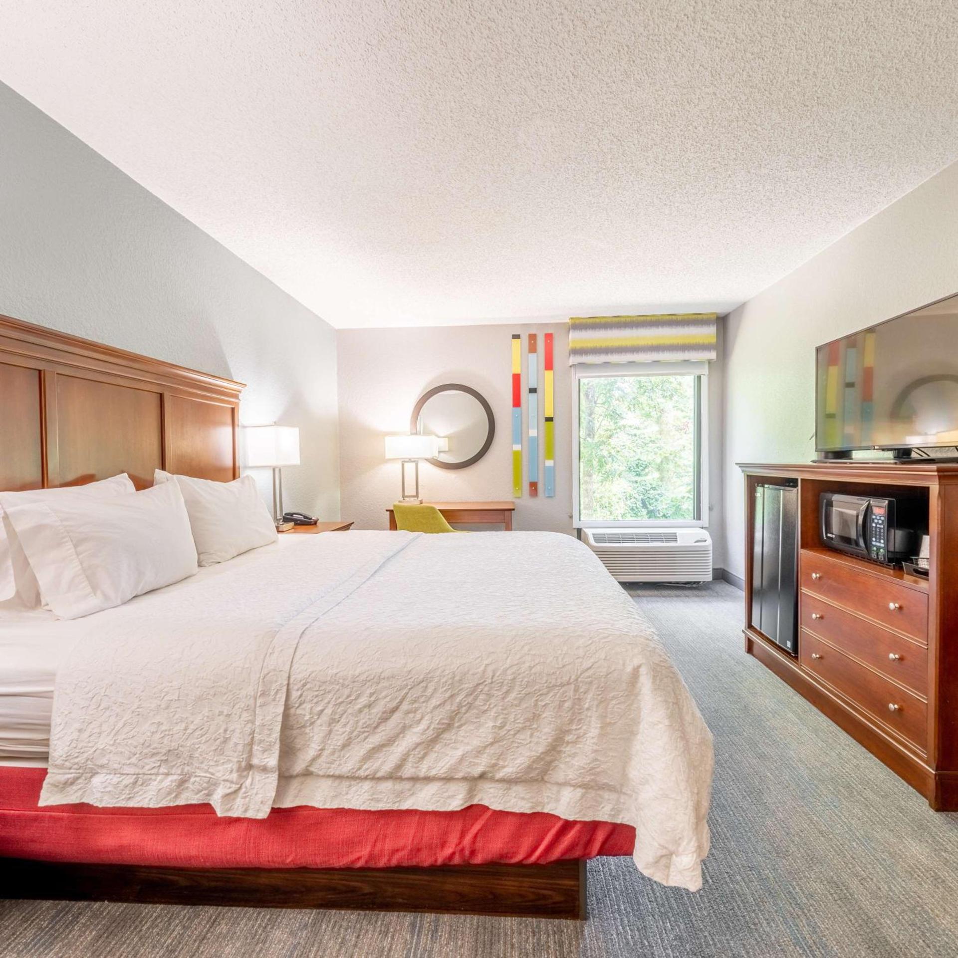 Hampton Inn Gainesville photo 35