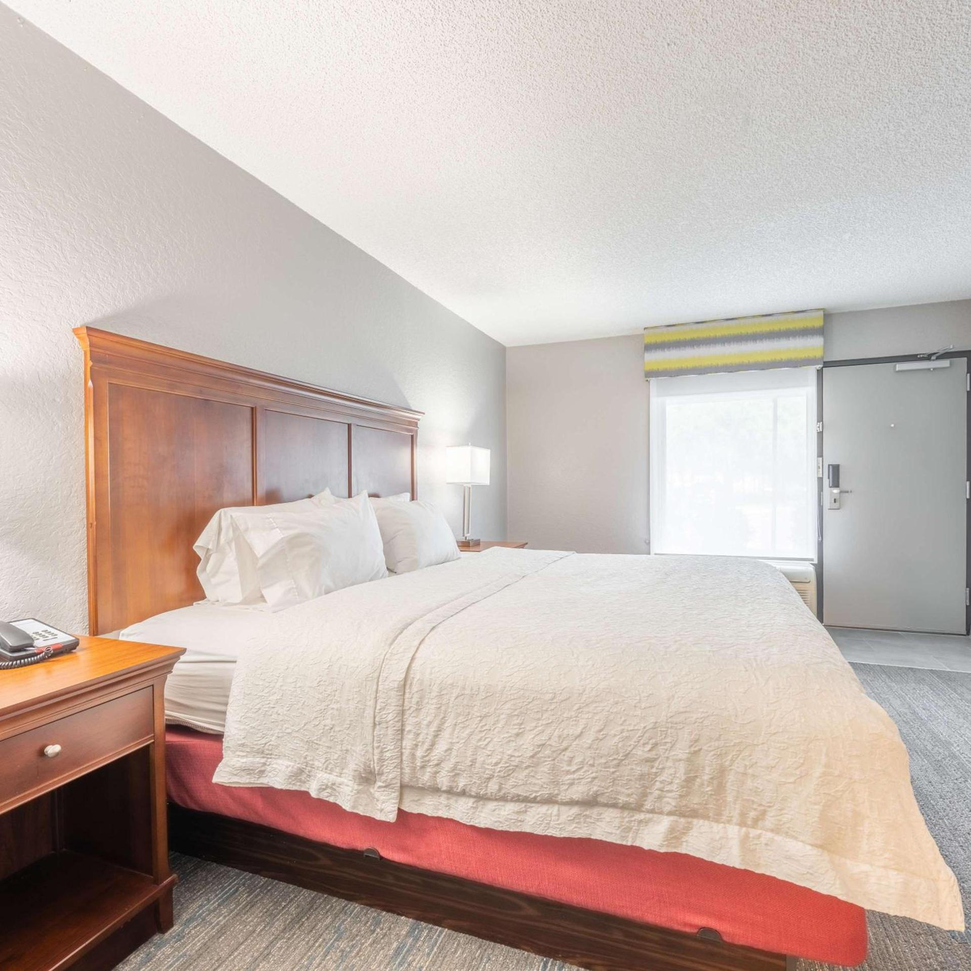 Hampton Inn Gainesville photo 36