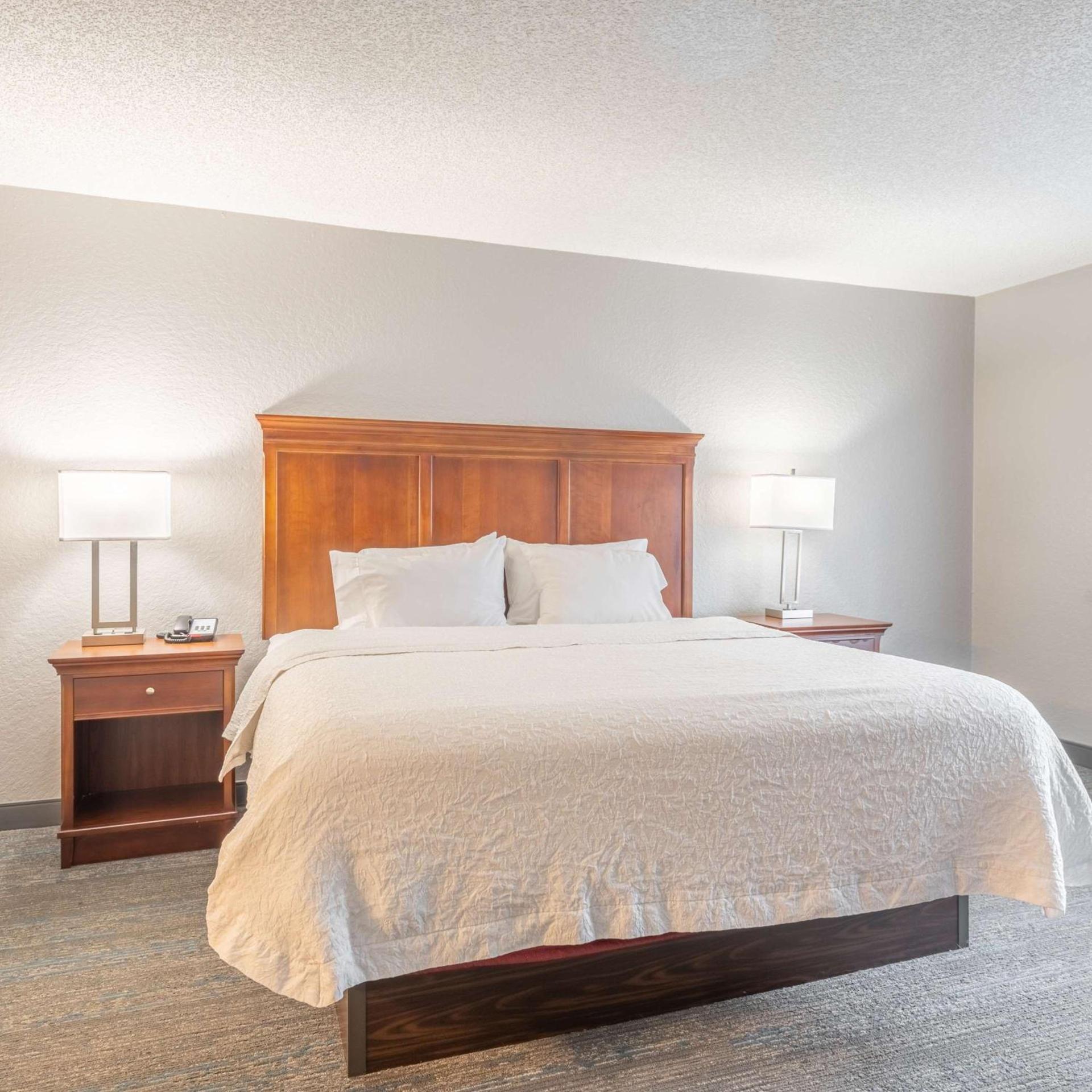 Hampton Inn Gainesville photo 38