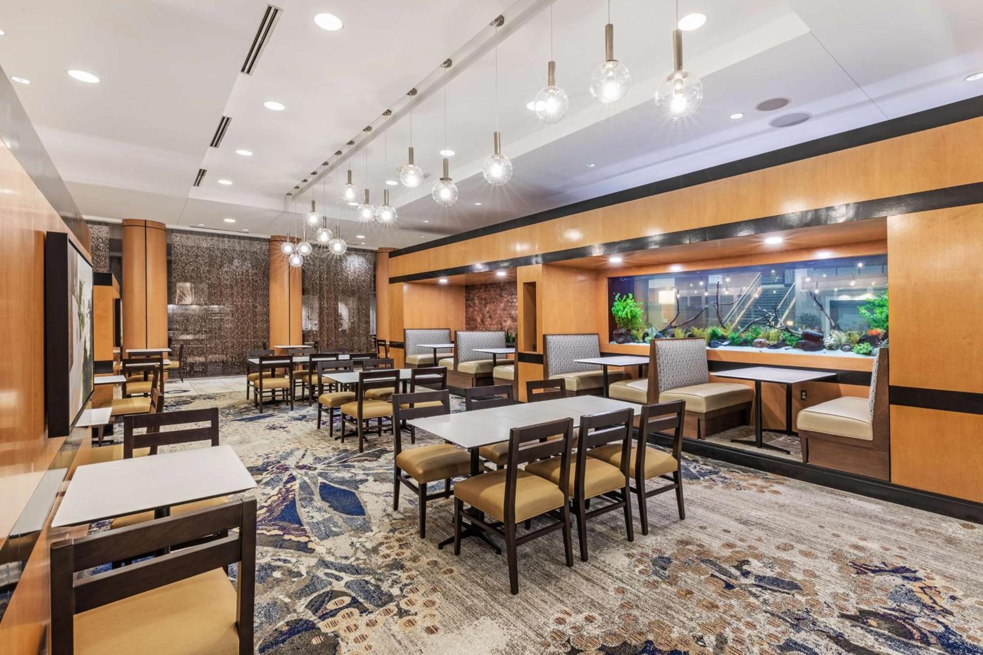 Embassy Suites by Hilton Houston-Energy Corridor photo 11