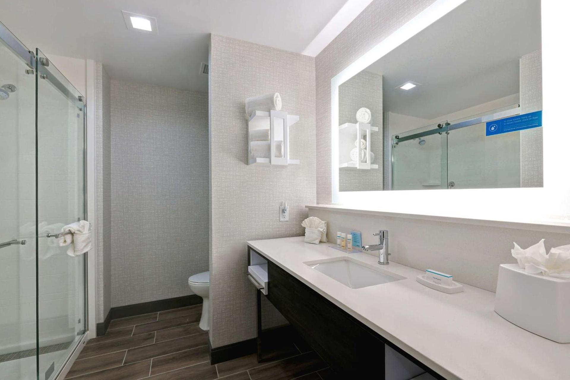 Hampton Inn & Suites Houston East Beltway 8, Tx photo 38