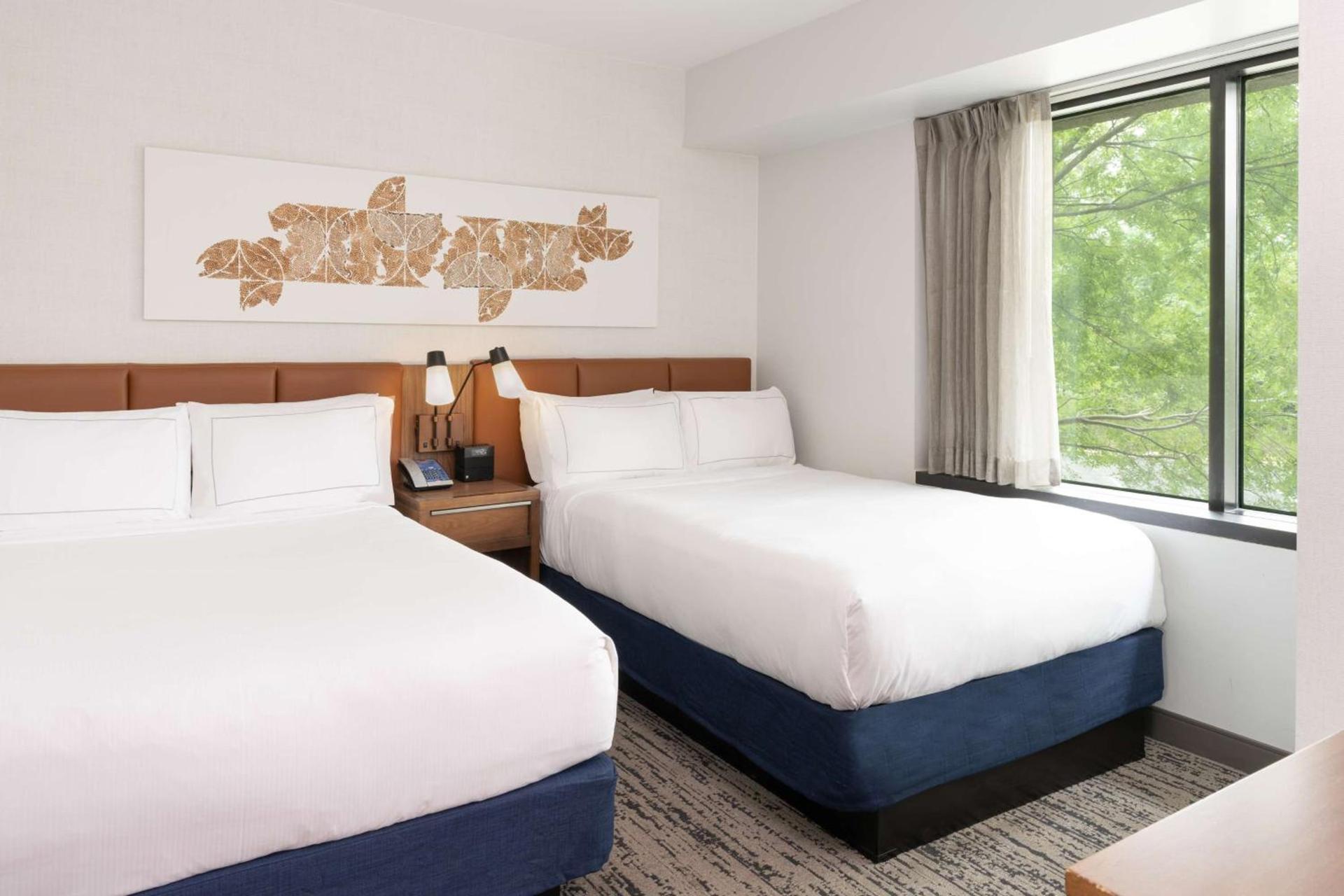 Hilton Fairfax, Va photo 12