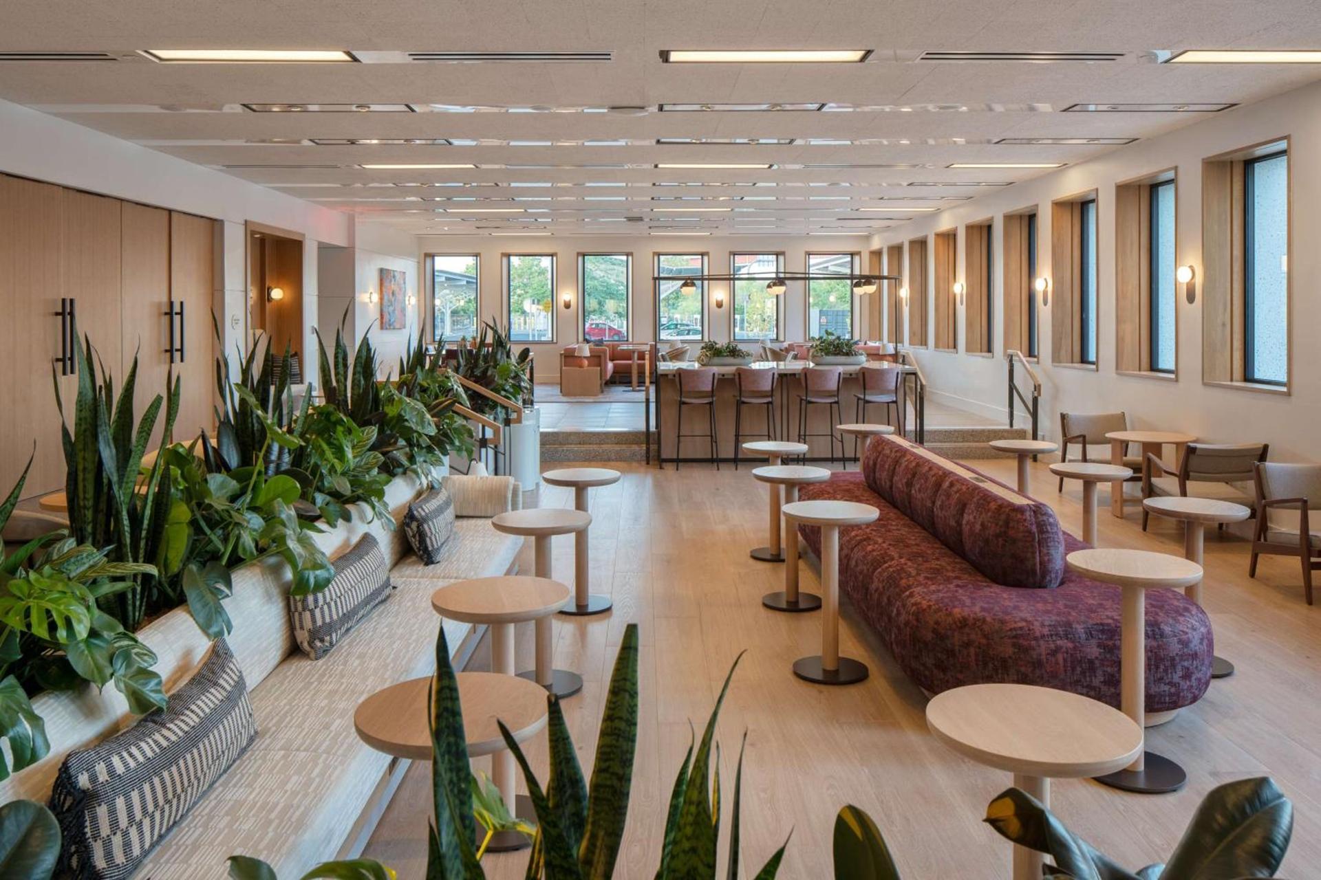 Hotel Marcel New Haven, Tapestry Collection By Hilton photo 8