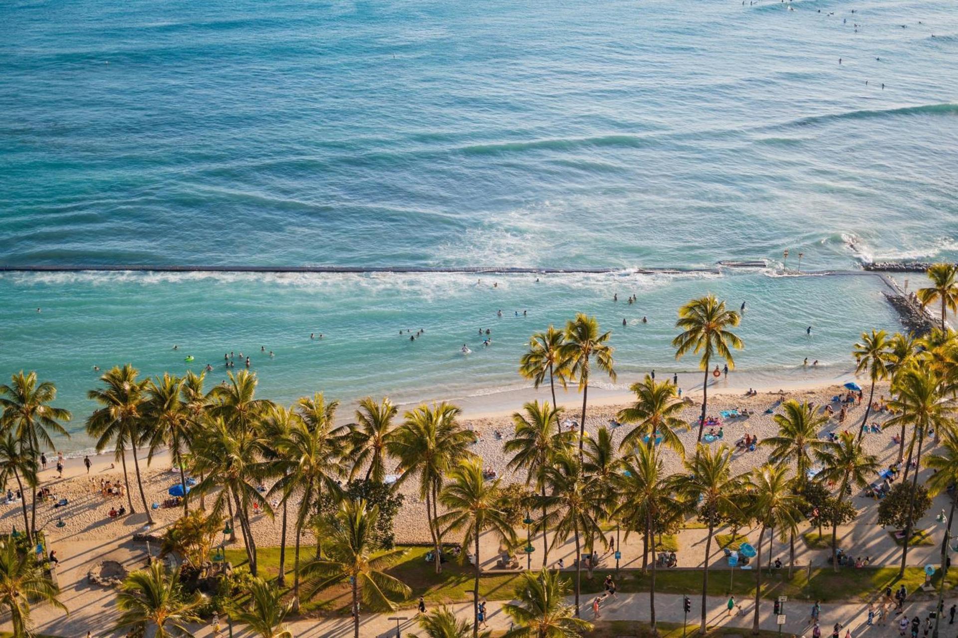 Waikiki Beach Marriott Resort & Spa photo 11