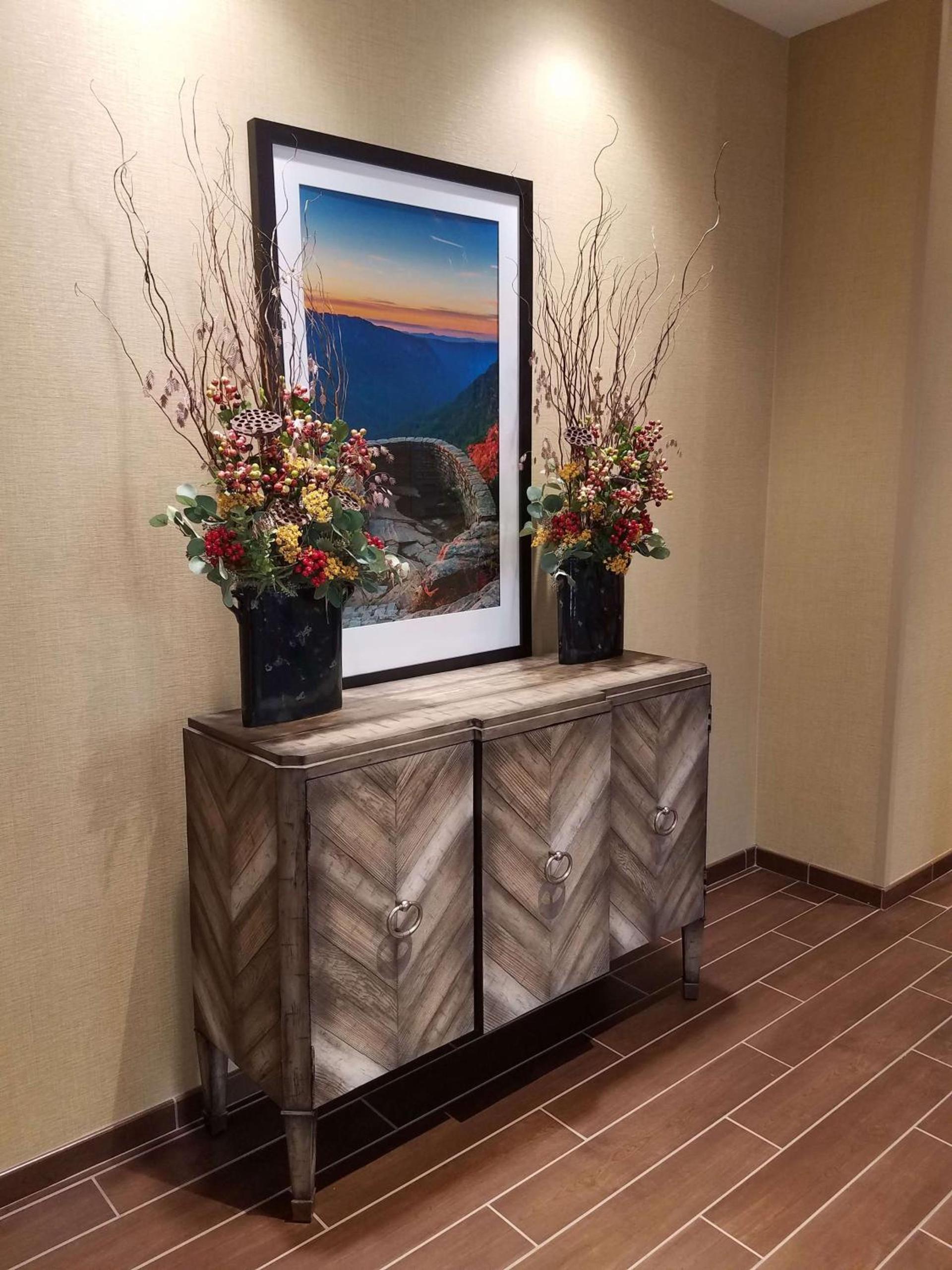 Hampton Inn & Suites Boone, Nc photo 11