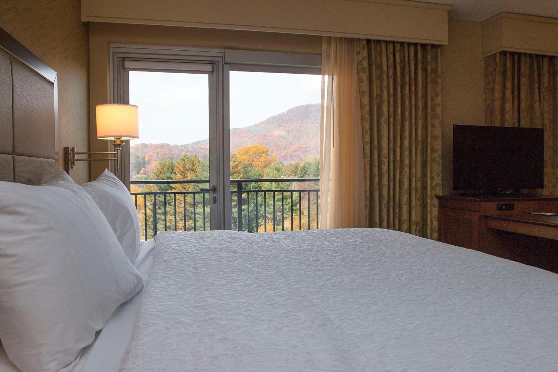 Hampton Inn & Suites Boone, Nc photo 30