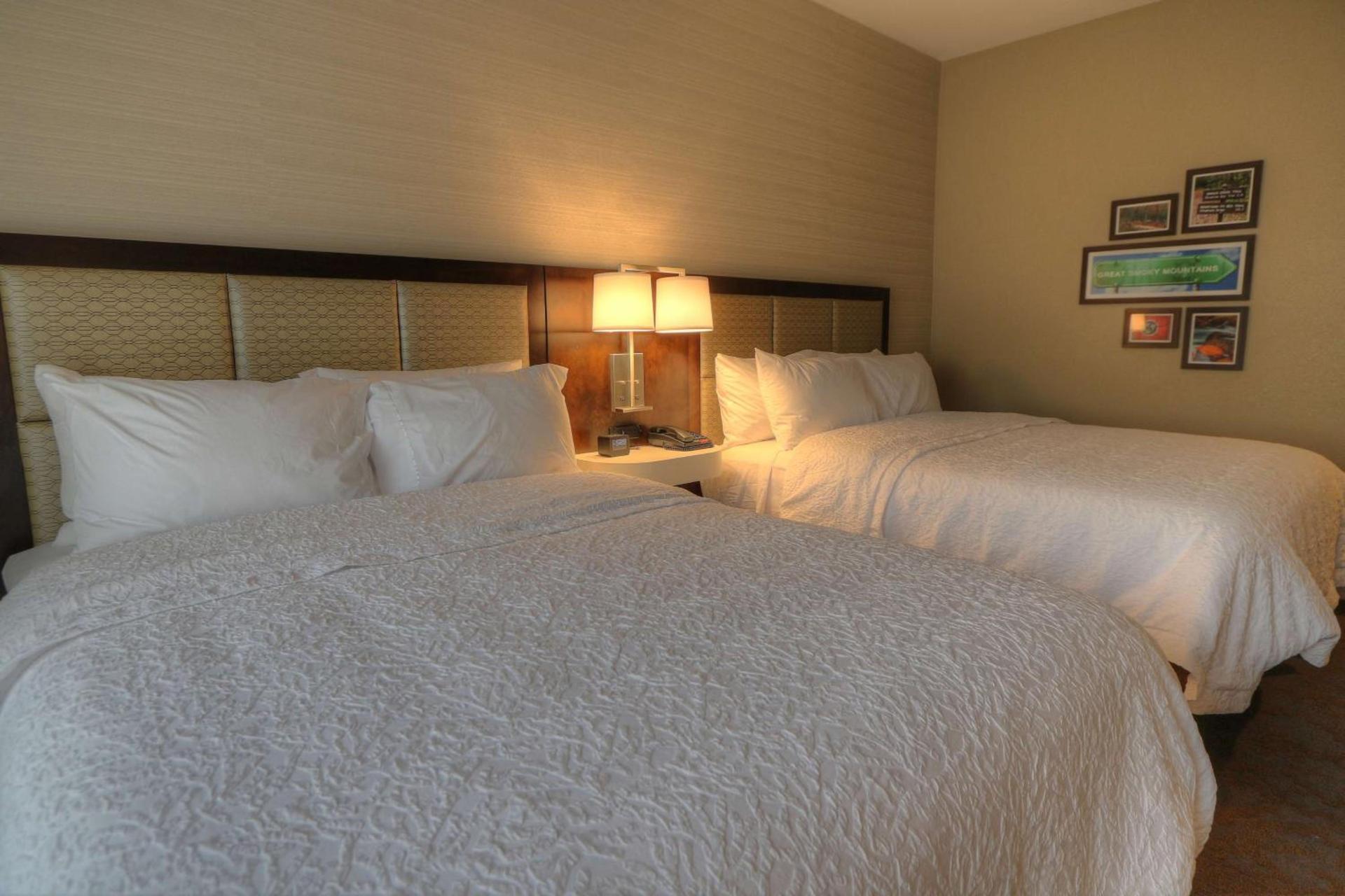 Hampton Inn Gatlinburg Historic Nature Trail, Tn photo 44