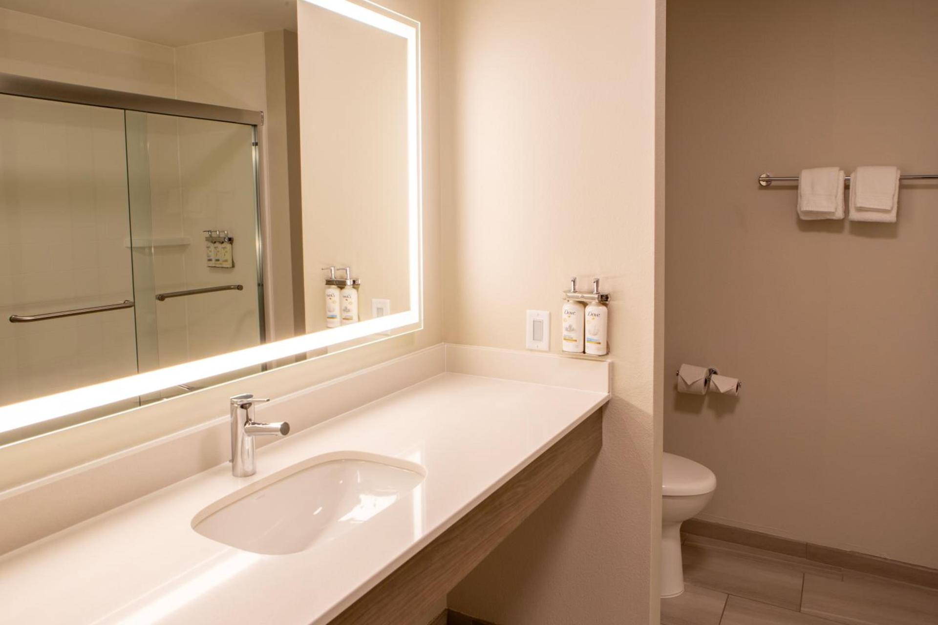 Holiday Inn Express & Suites Sioux City-South by IHG photo 7