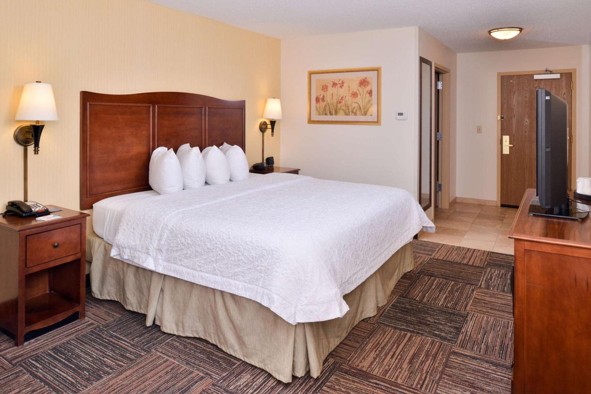Hampton Inn Elkhart photo 15