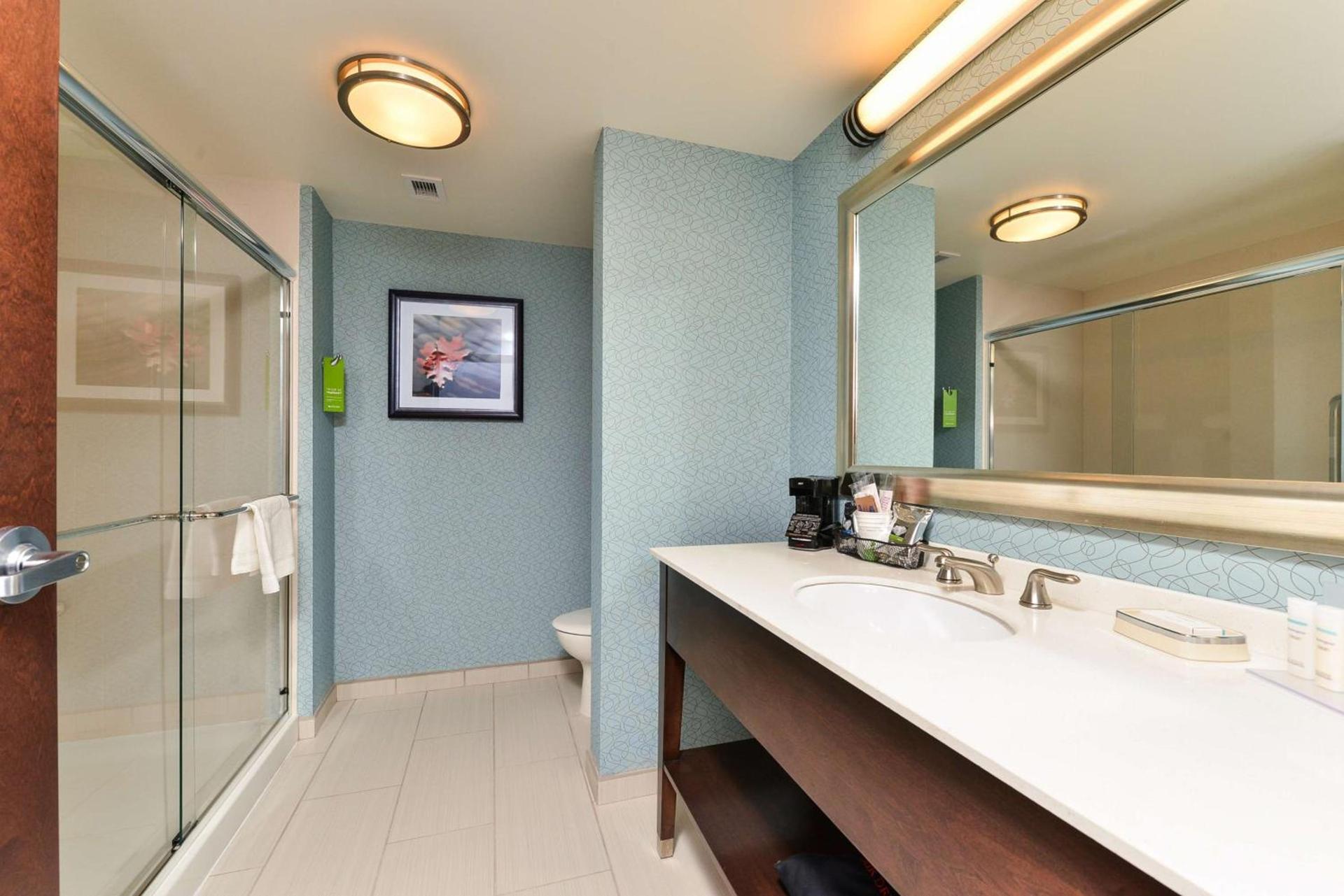 Hampton Inn Corning/Painted Post photo 16