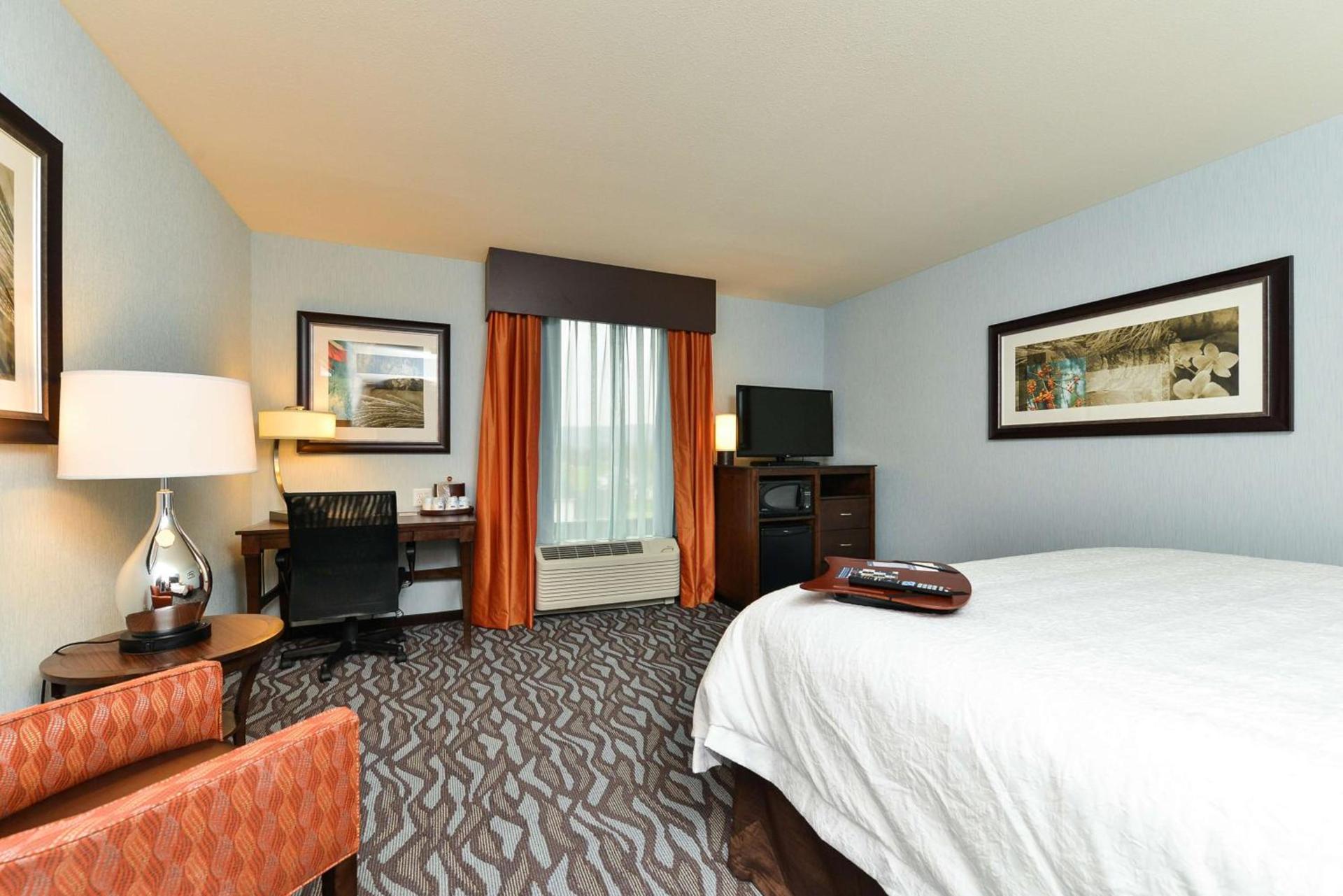 Hampton Inn Corning/Painted Post photo 21