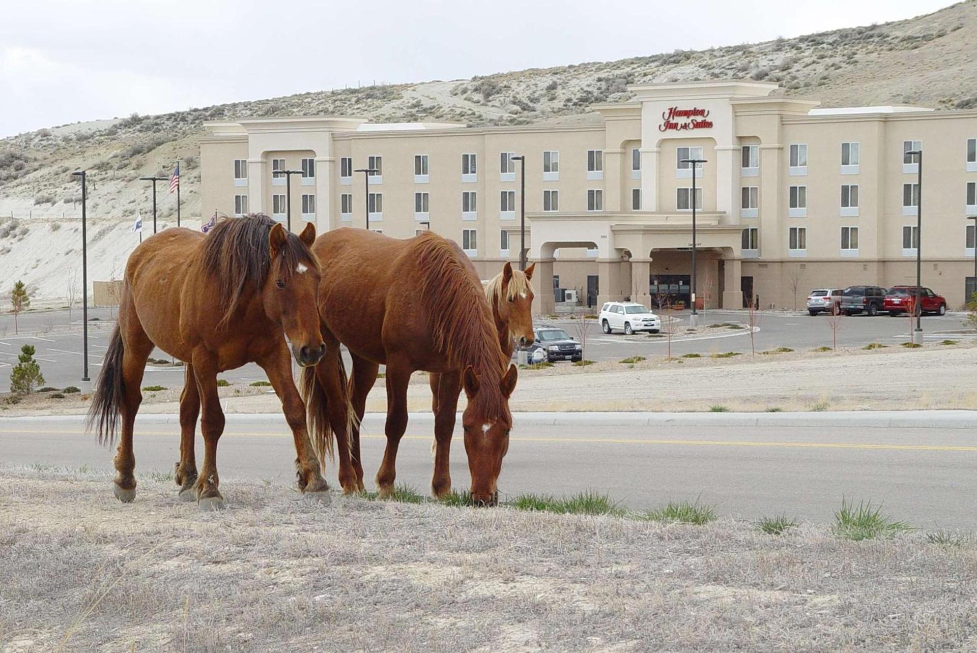 Hampton Inn & Suites Green River photo 3