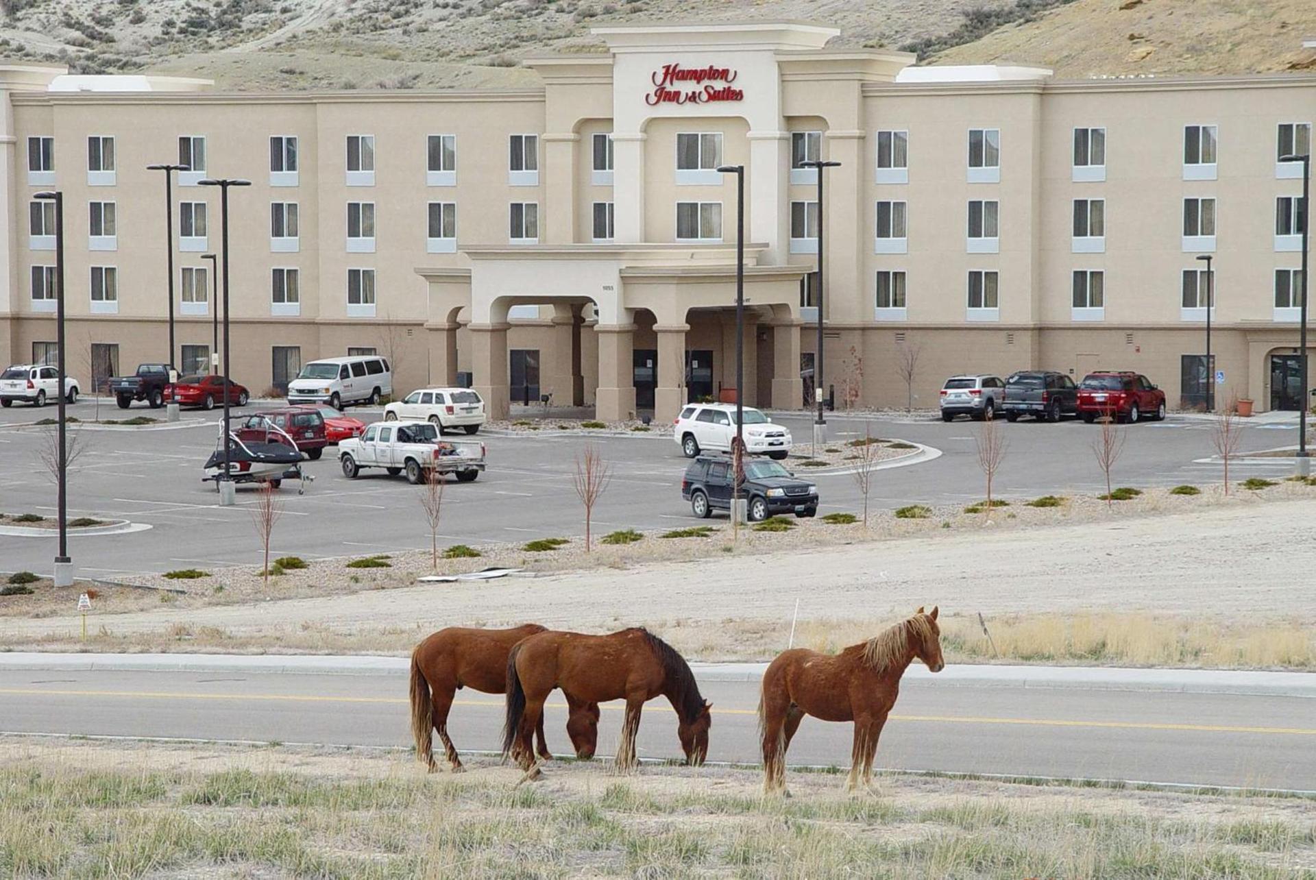 Hampton Inn & Suites Green River photo 4