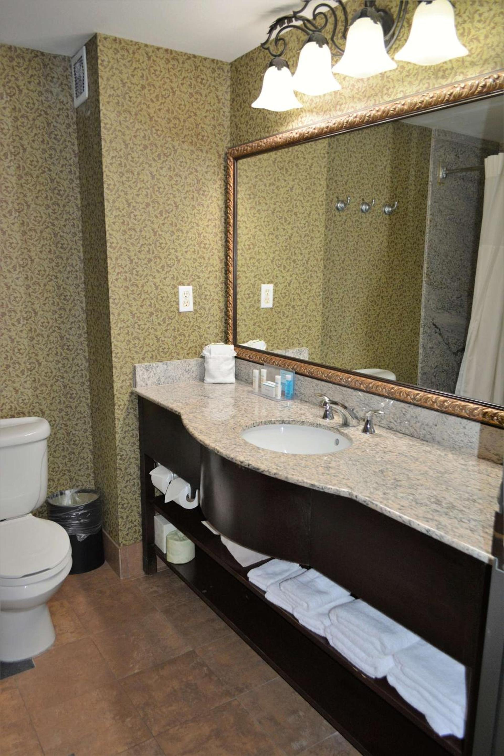 Hampton Inn and Suites Houston-Katy photo 10