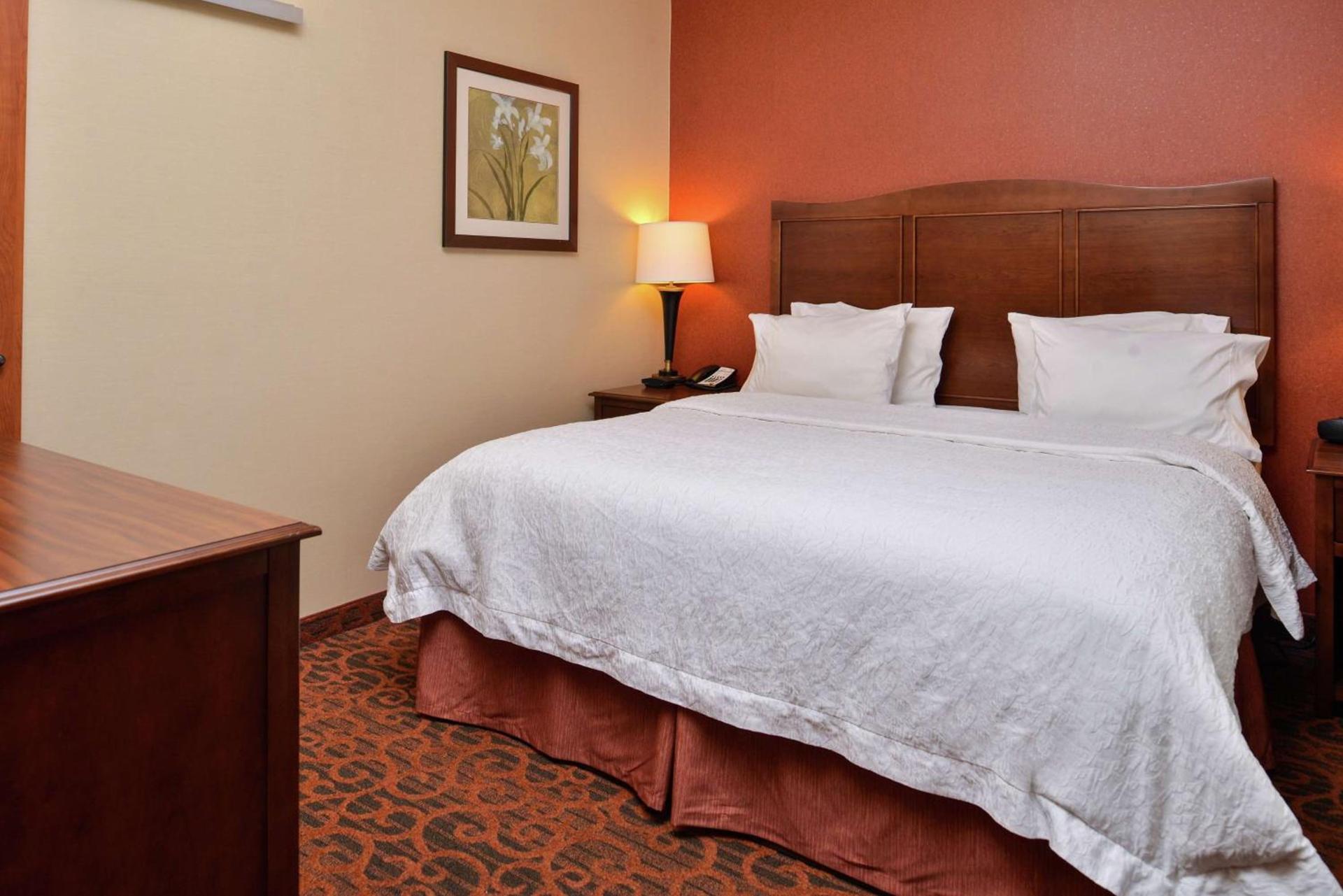 Hampton Inn Idaho Falls / Airport photo 29