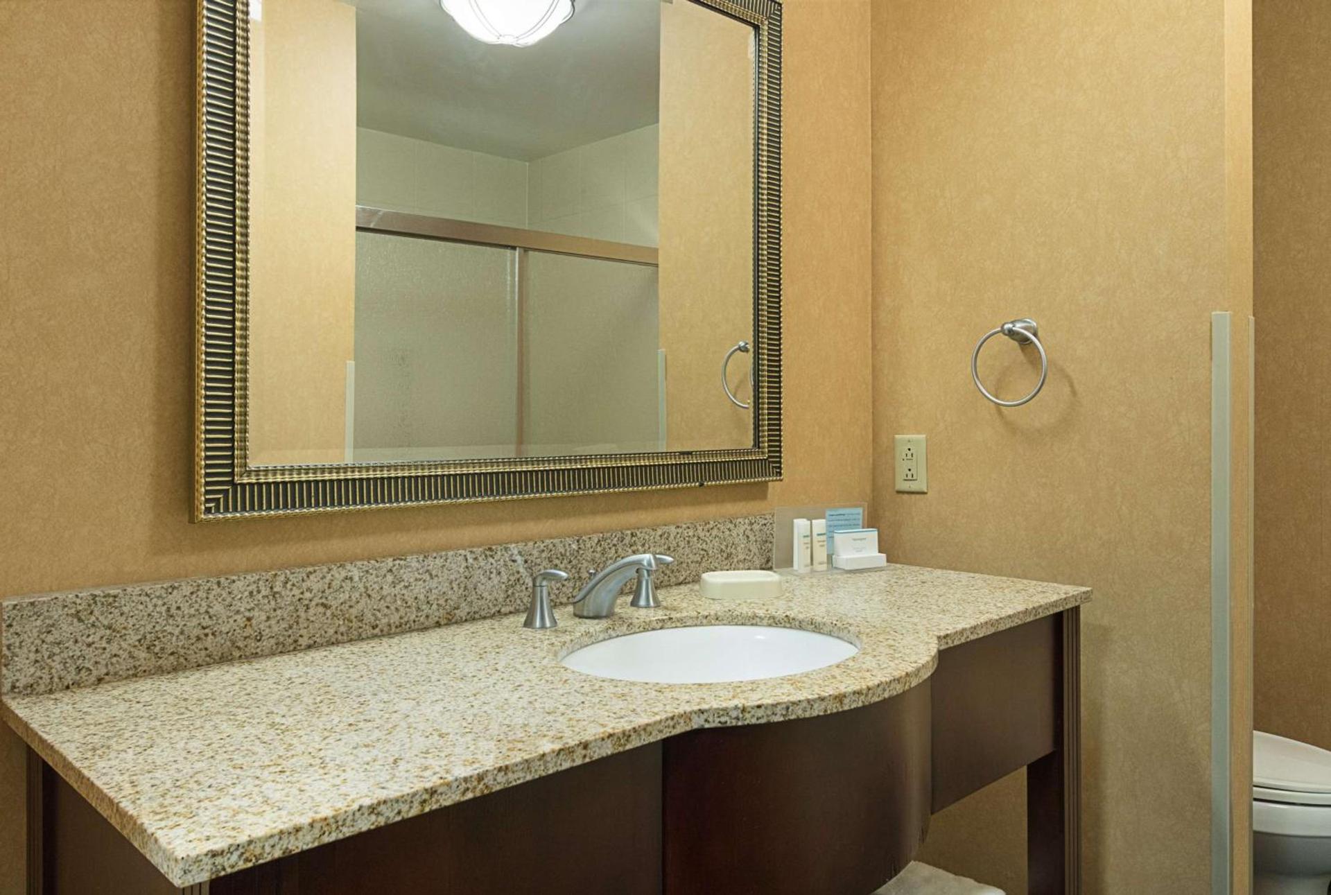 Hampton Inn and Suites Indianapolis/Brownsburg photo 29