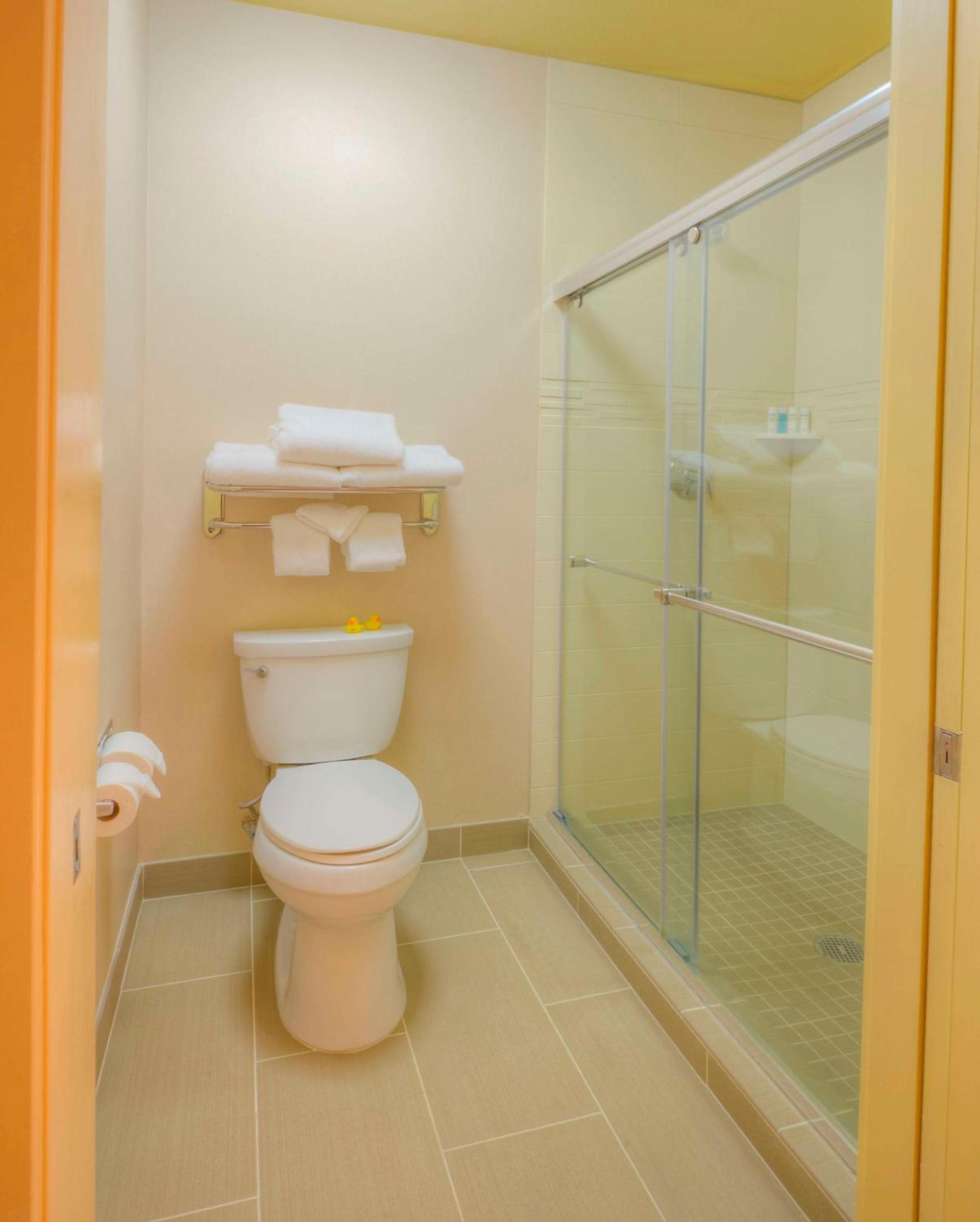 Homewood Suites by Hilton Jackson photo 12