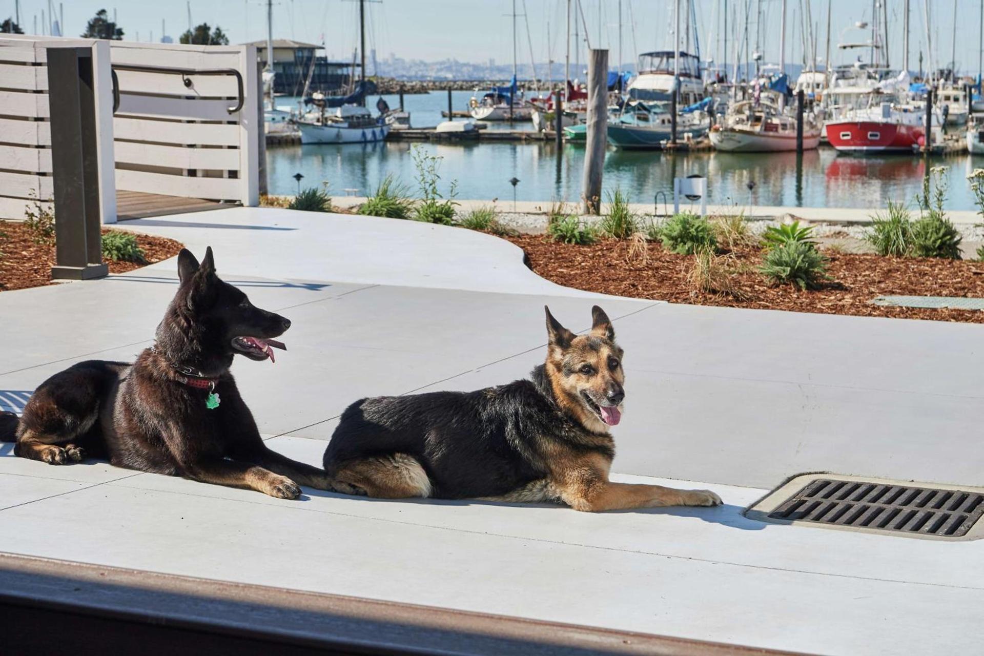 DoubleTree by Hilton Hotel Berkeley Marina photo 8