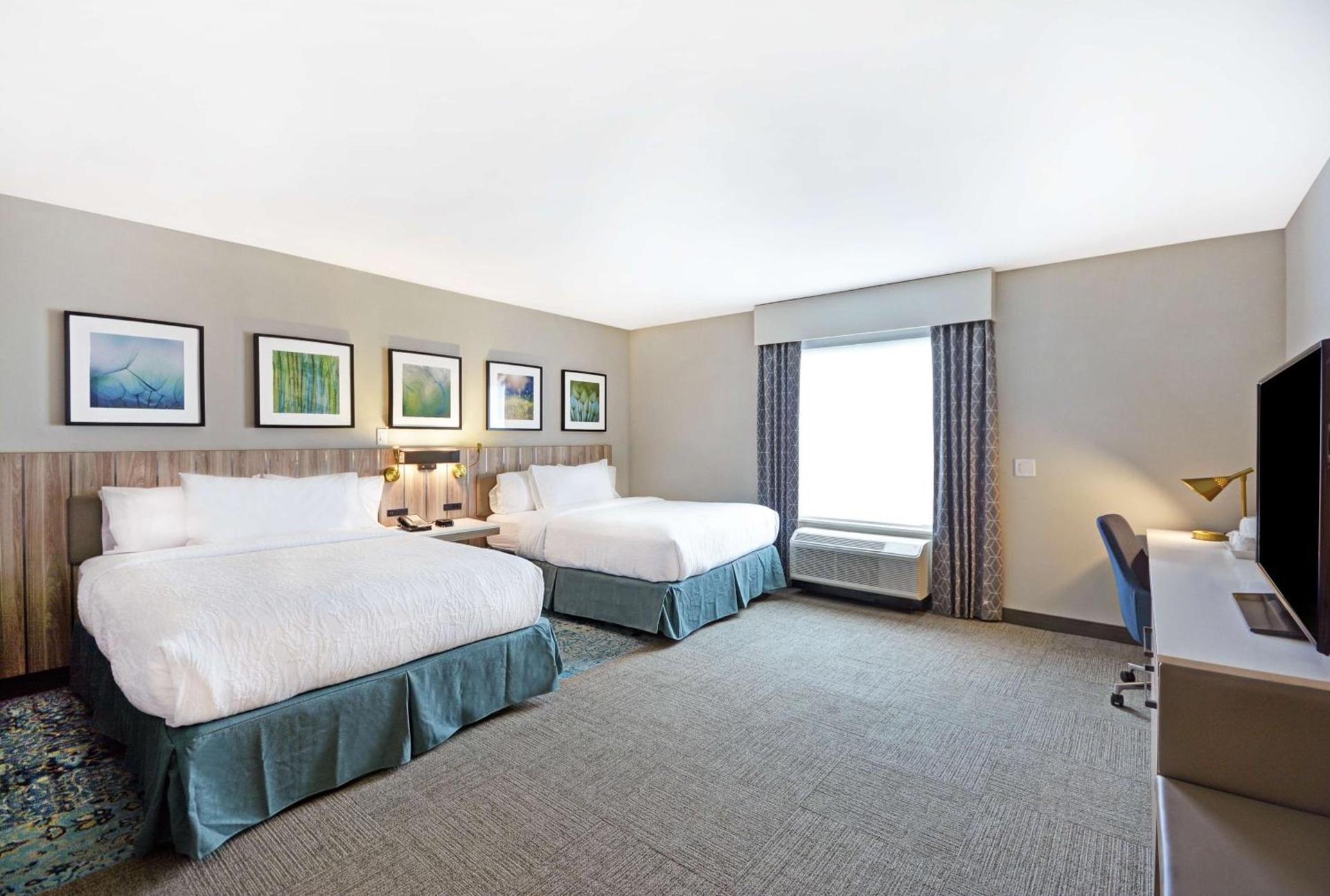 Hilton Garden Inn Houston Hobby Airport photo 42